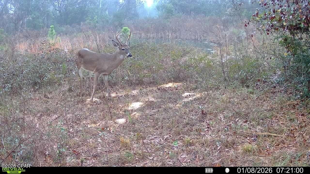 Image 30 For 00 Crovetti Way