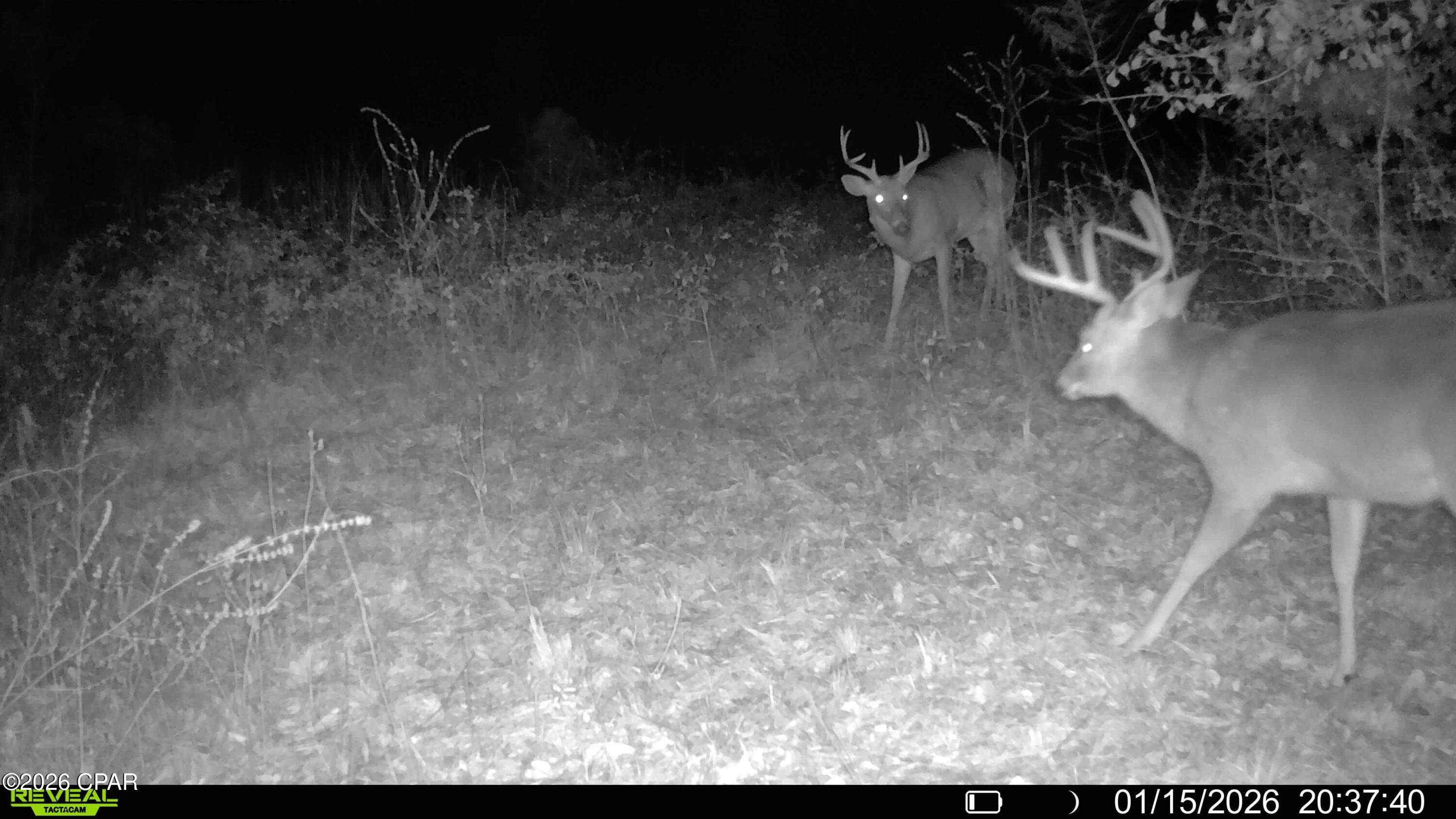 Image 31 For 00 Crovetti Way