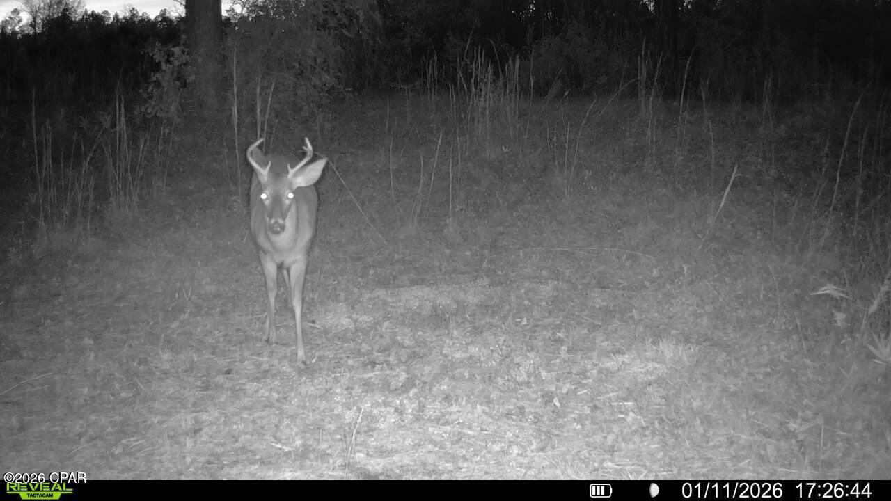 Image 32 For 00 Crovetti Way