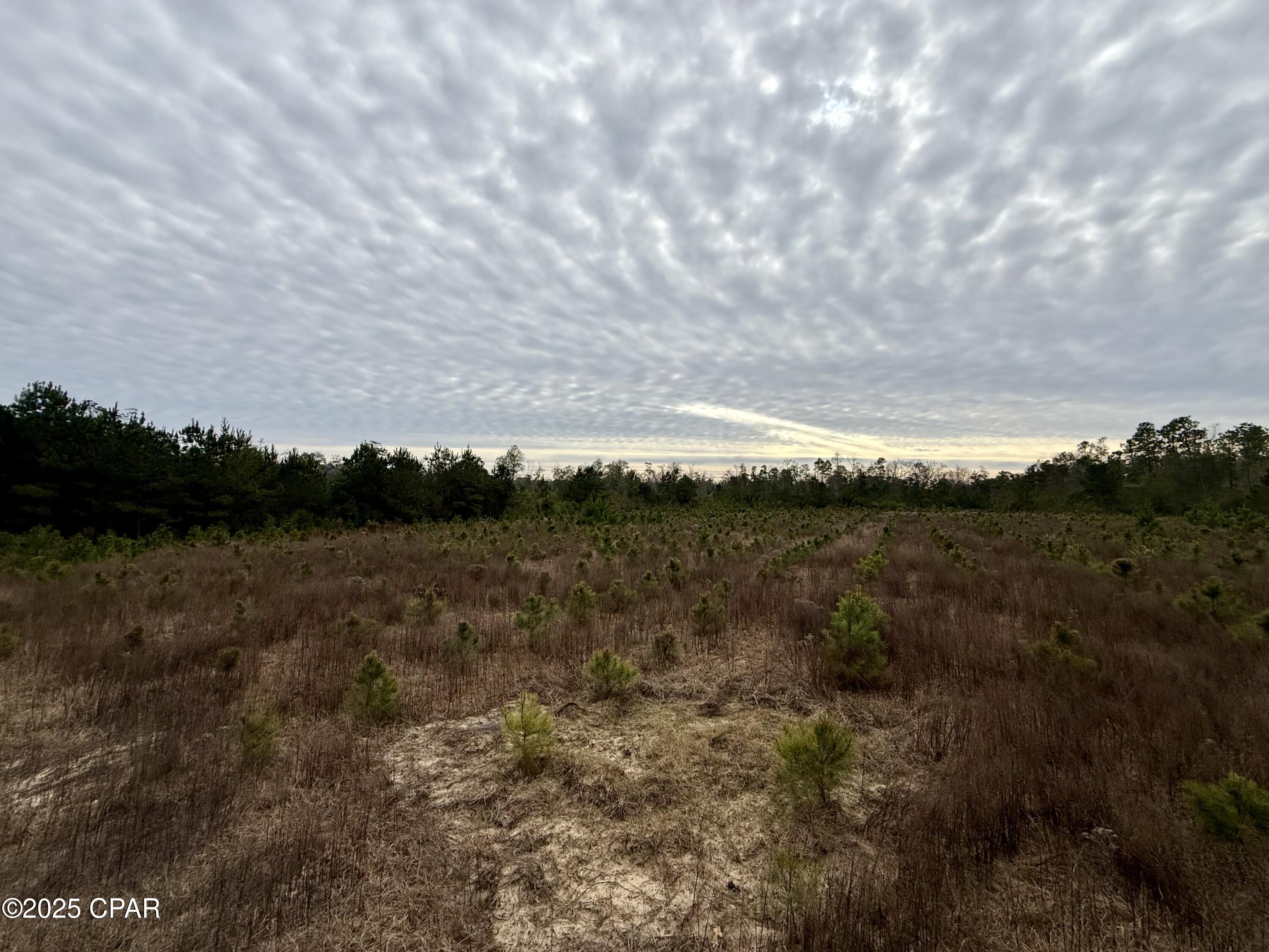 Image 33 For 00 Crovetti Way