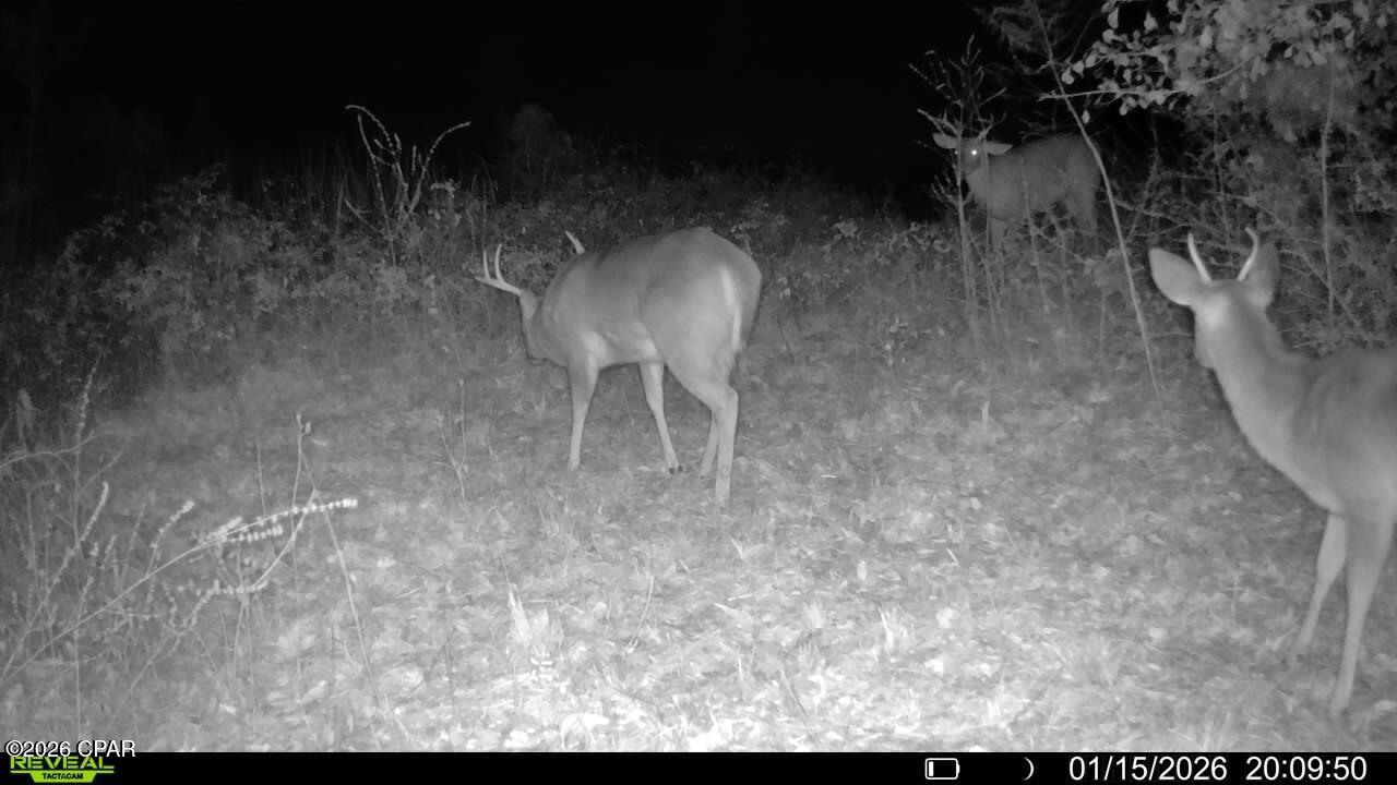 Image 33 For 00 Crovetti Way