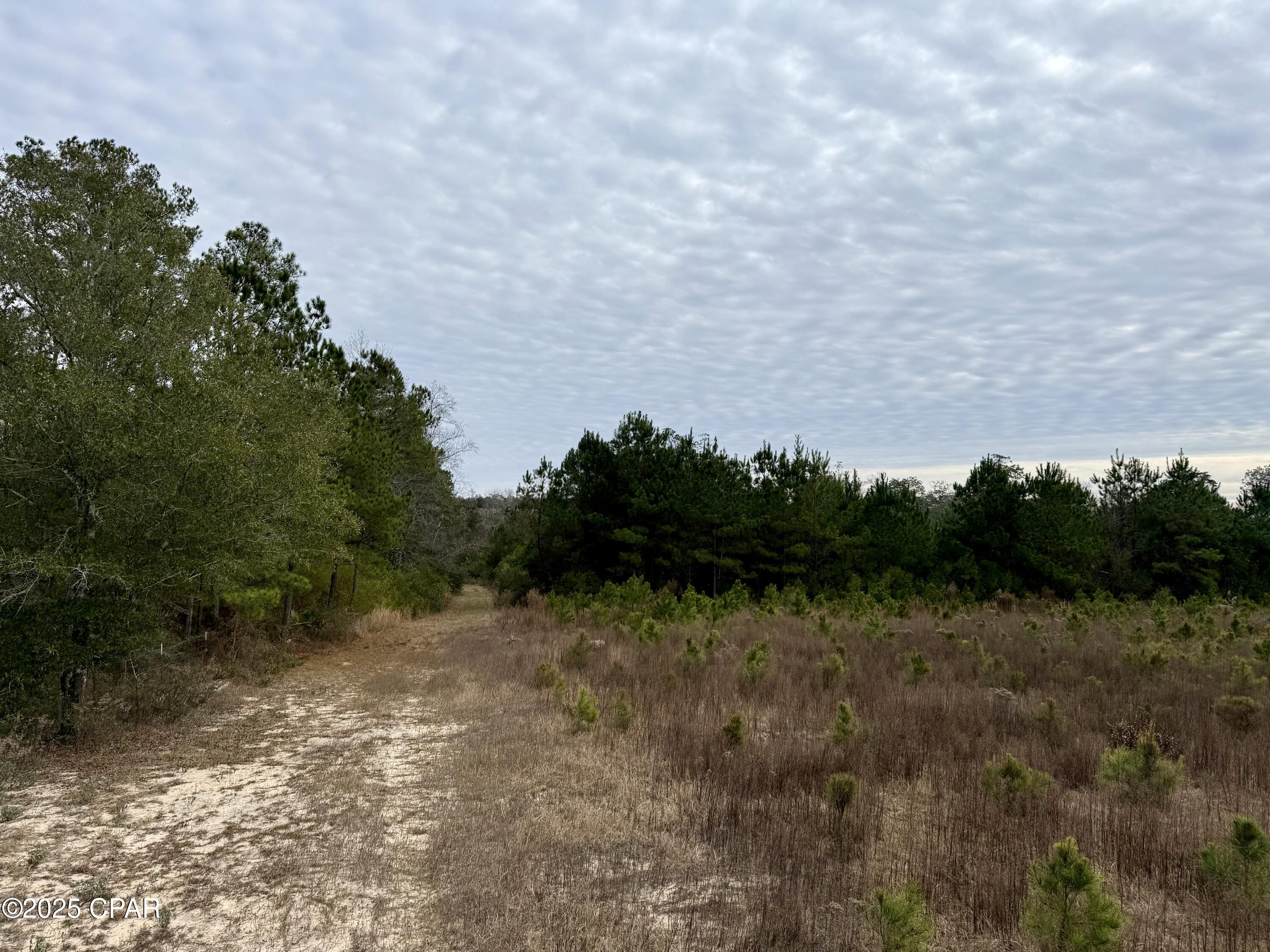 Image 36 For 00 Crovetti Way