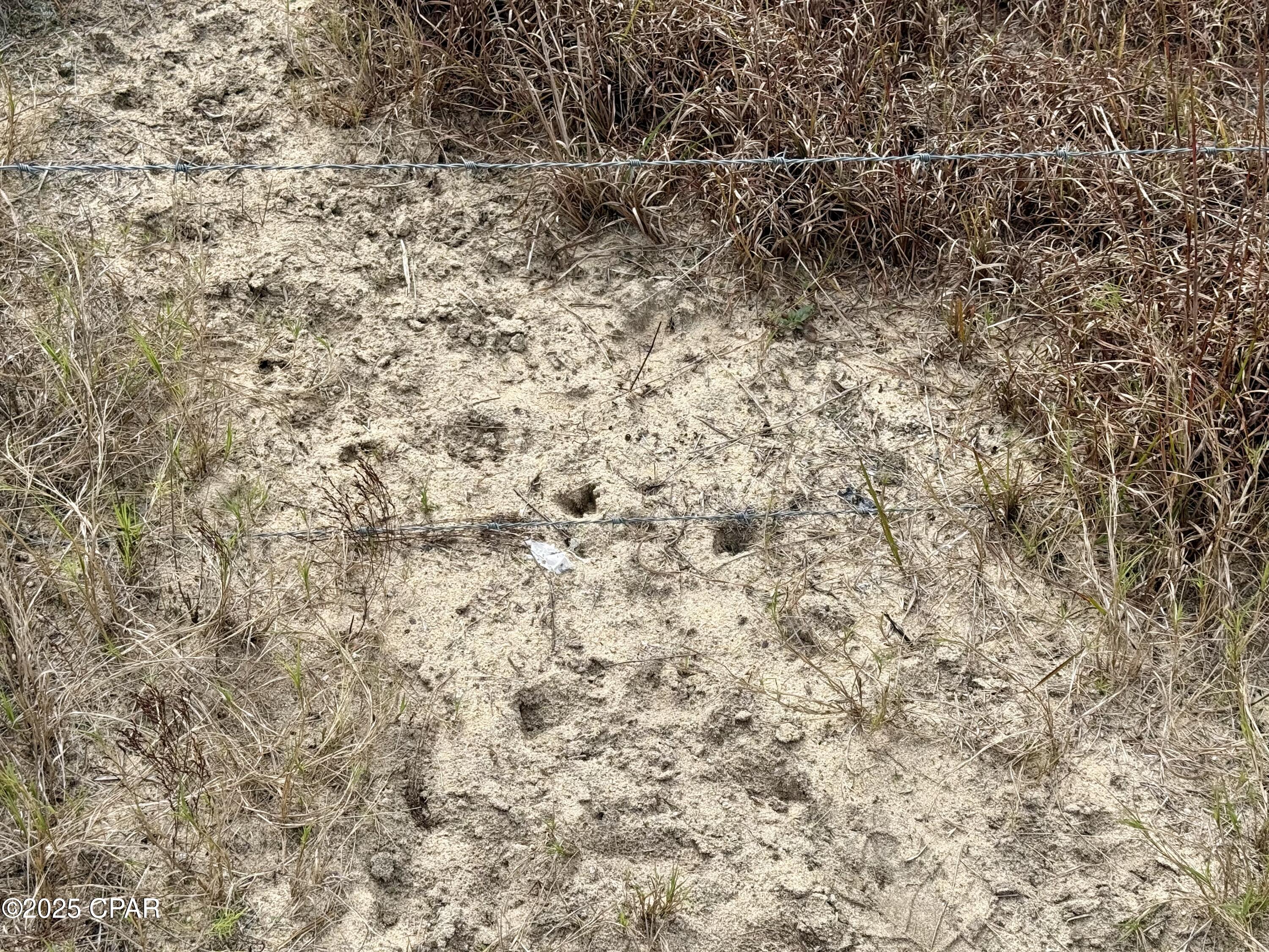 Image 54 For 00 Crovetti Way