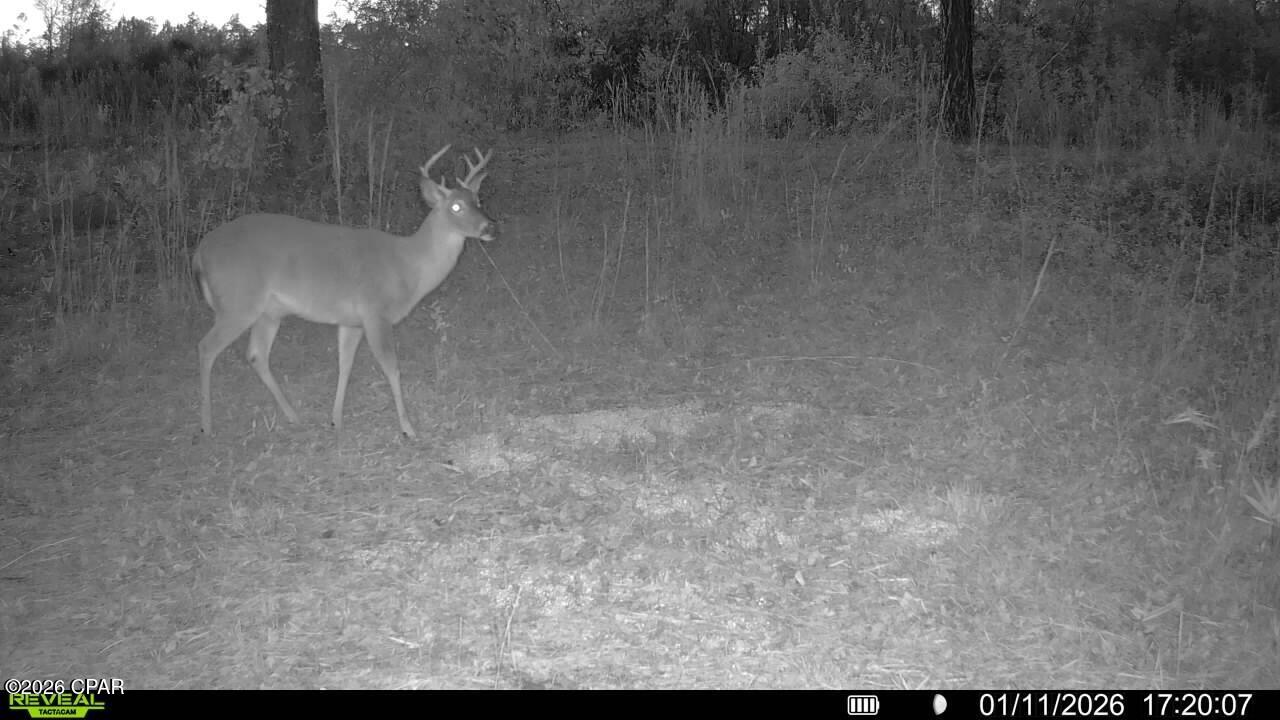 Image 58 For 00 Crovetti Way