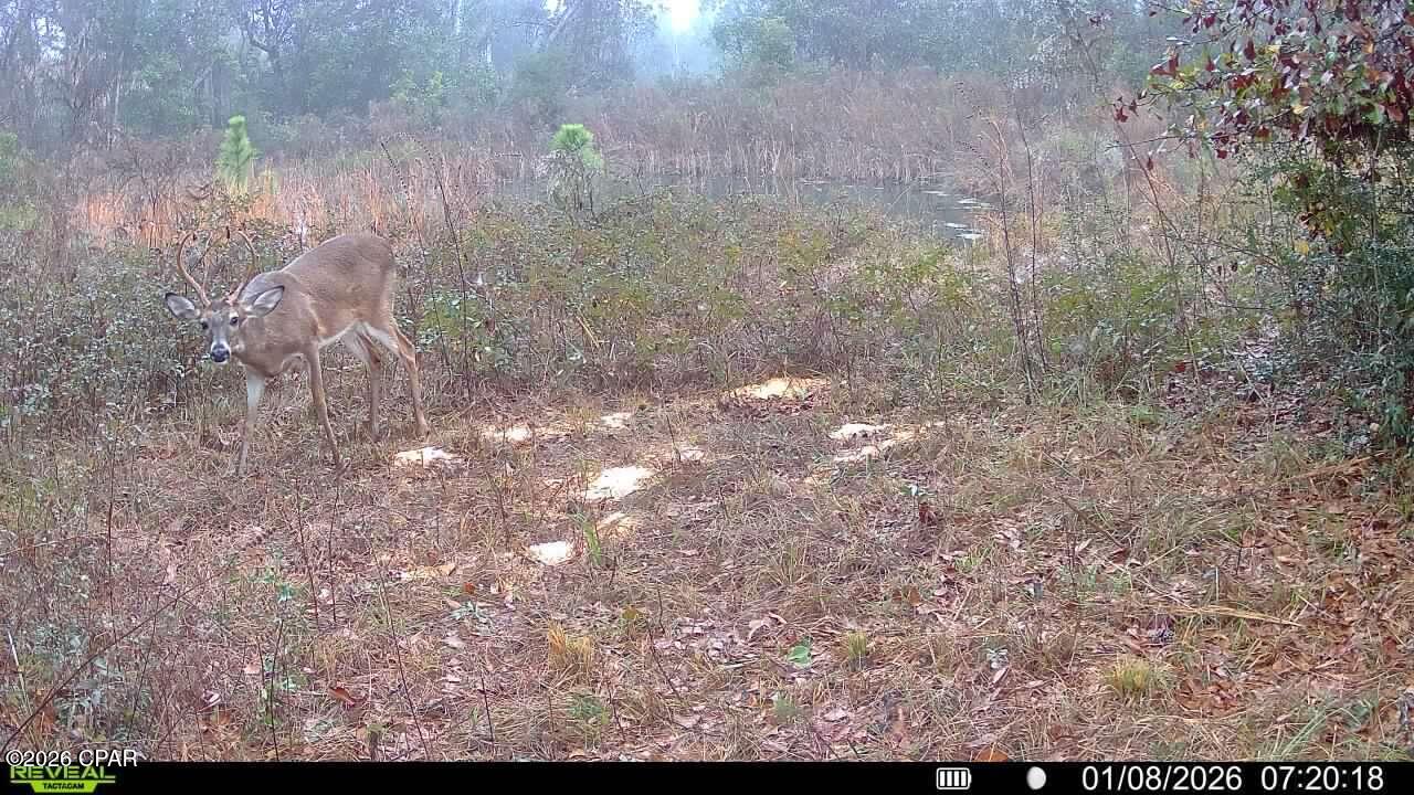 Image 59 For 00 Crovetti Way