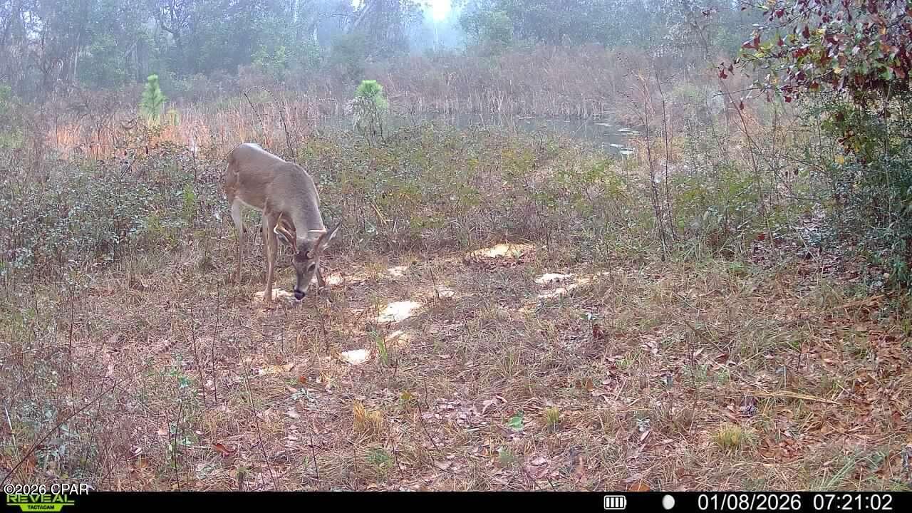 Image 60 For 00 Crovetti Way