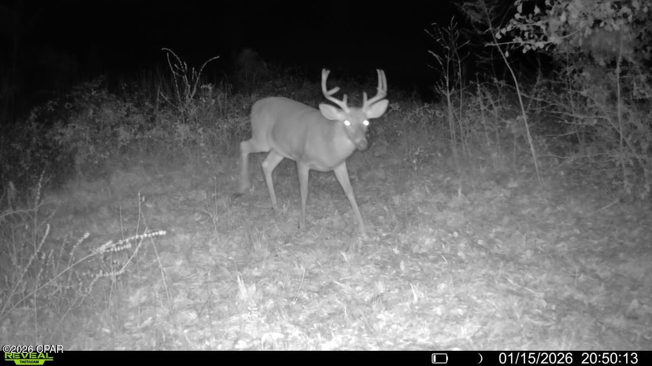 Image 61 For 00 Crovetti Way