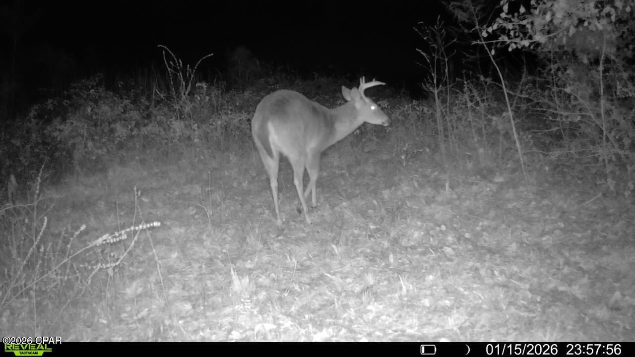 Image 62 For 00 Crovetti Way