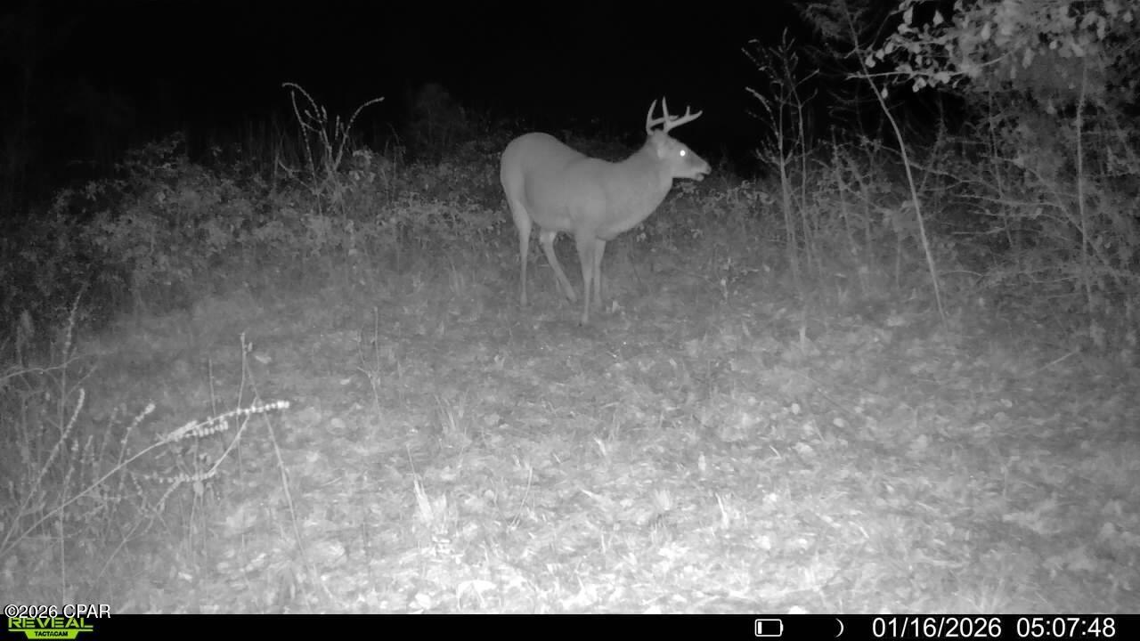 Image 63 For 00 Crovetti Way