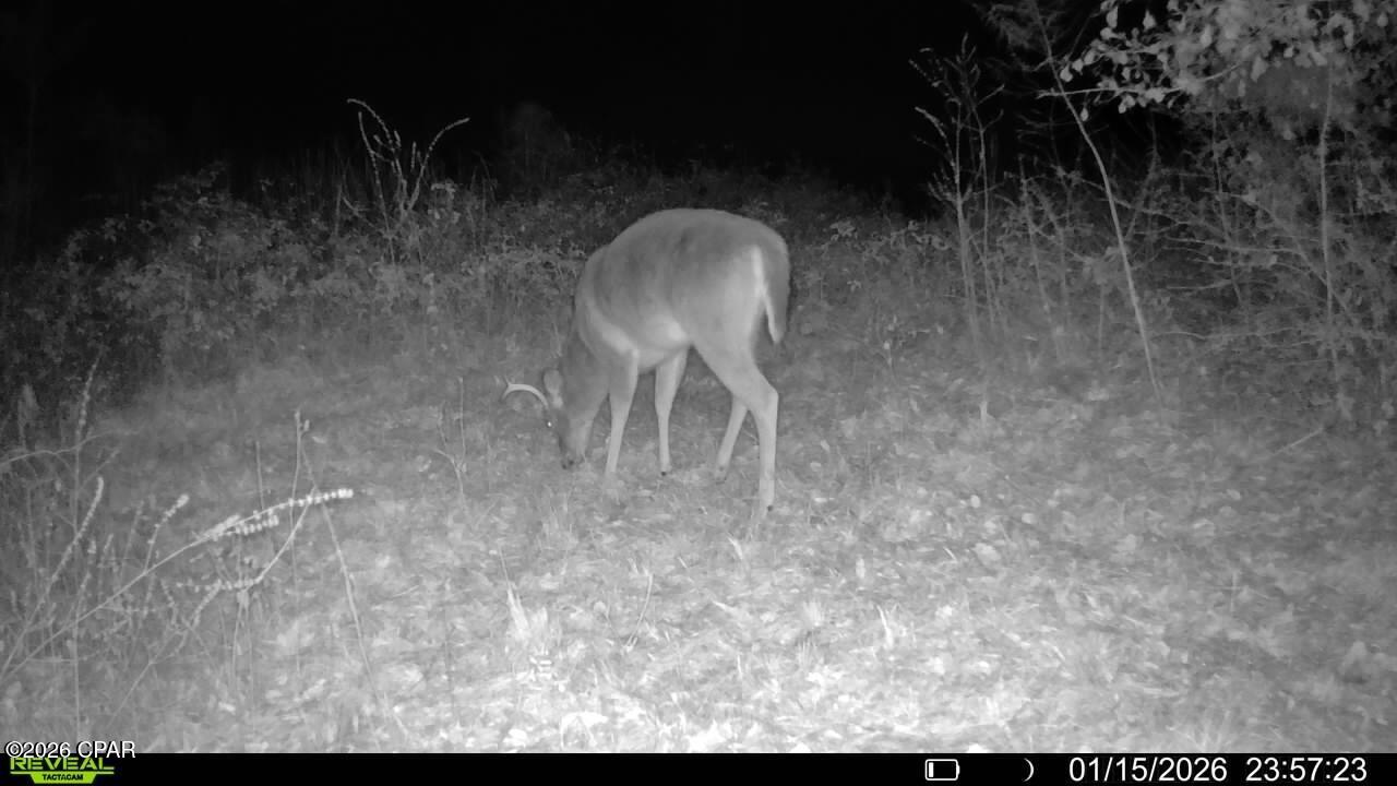 Image 64 For 00 Crovetti Way