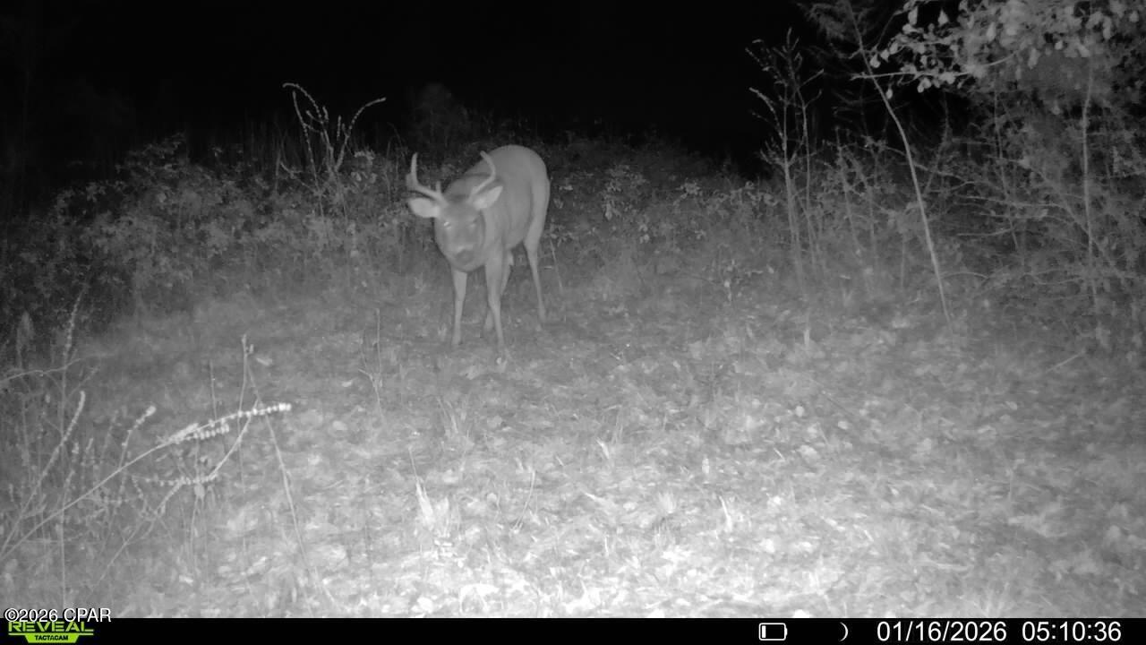 Image 65 For 00 Crovetti Way