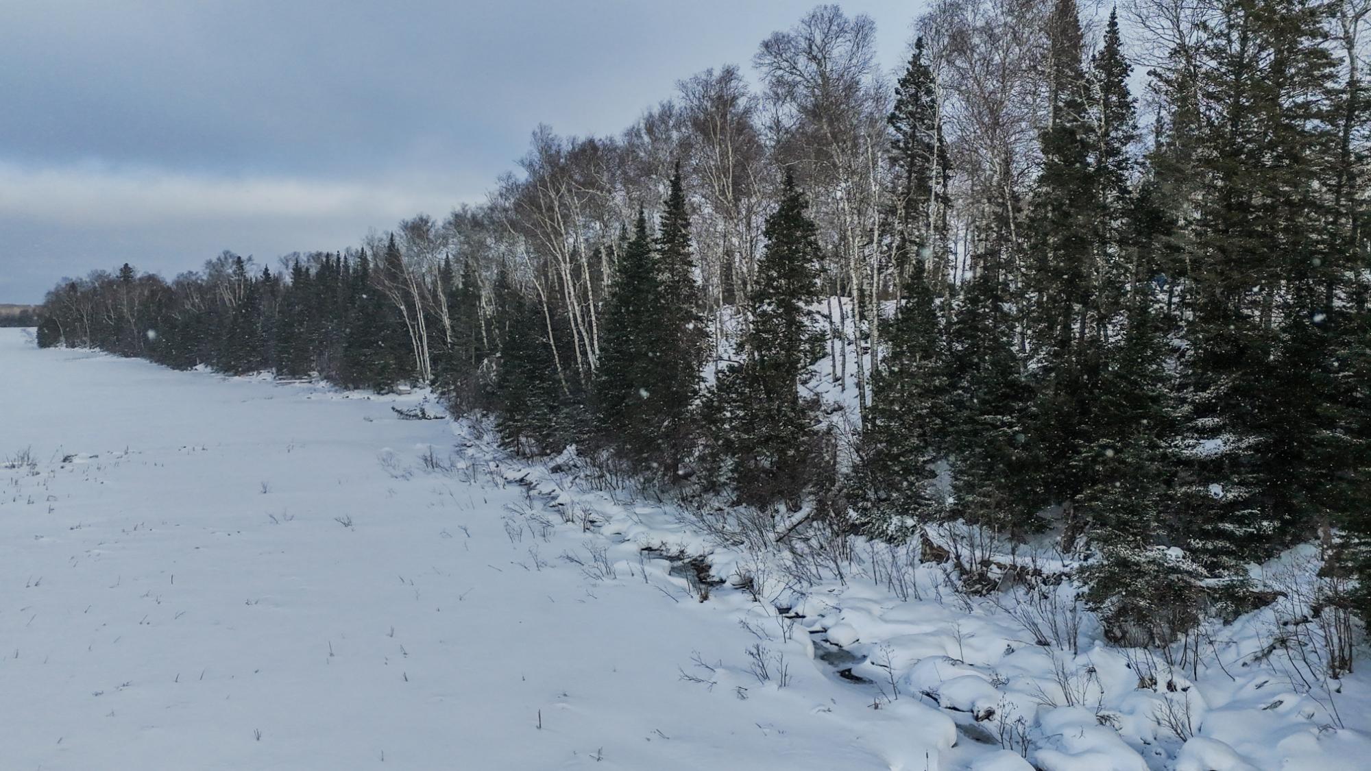 Morton Lake Property 2 acres Bobcat Rd Photo 14