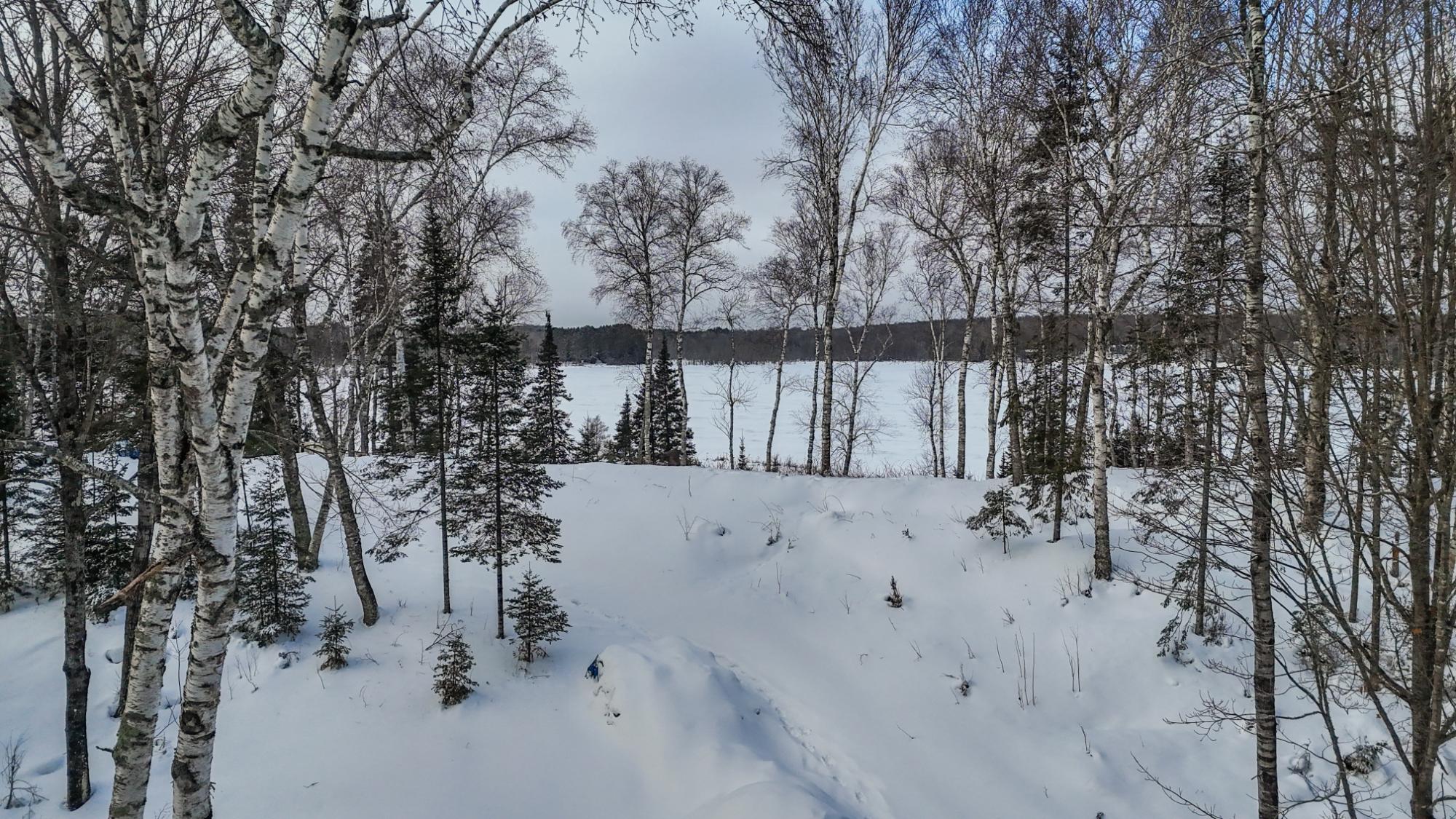 Morton Lake Property 2 acres Bobcat Rd Photo 15