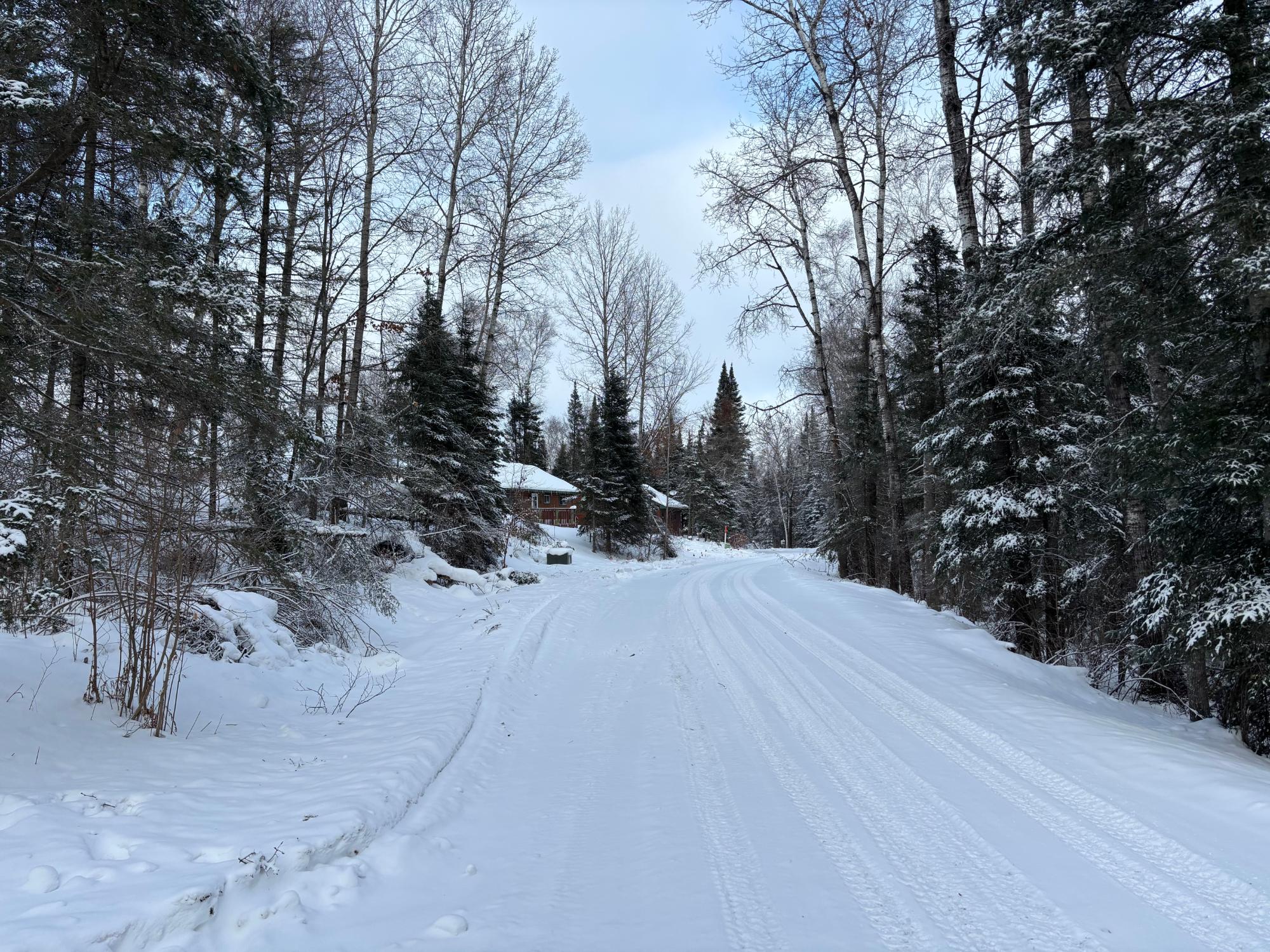 Morton Lake Property 2 acres Bobcat Rd Photo 18