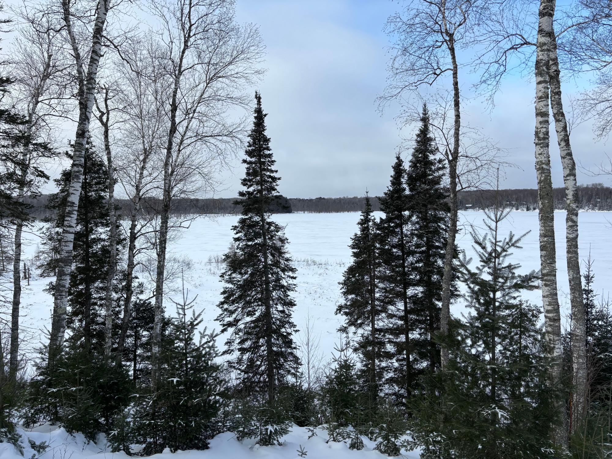 Morton Lake Property 2 acres Bobcat Rd Photo 24