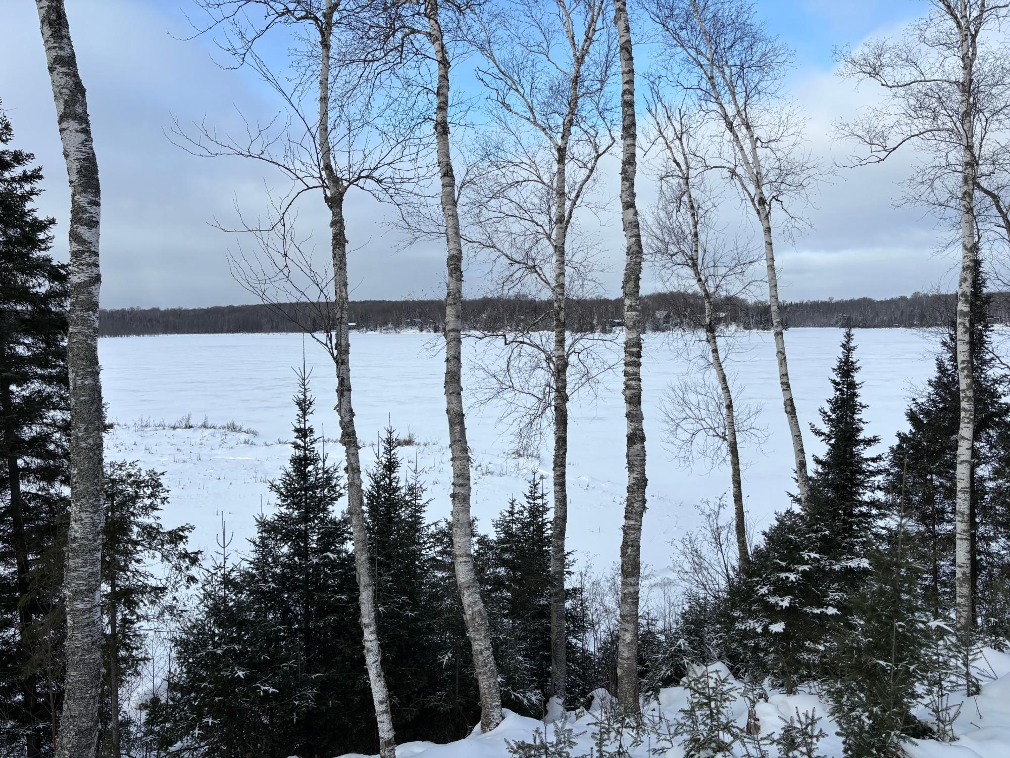 Morton Lake Property 2 acres Bobcat Rd Photo 25