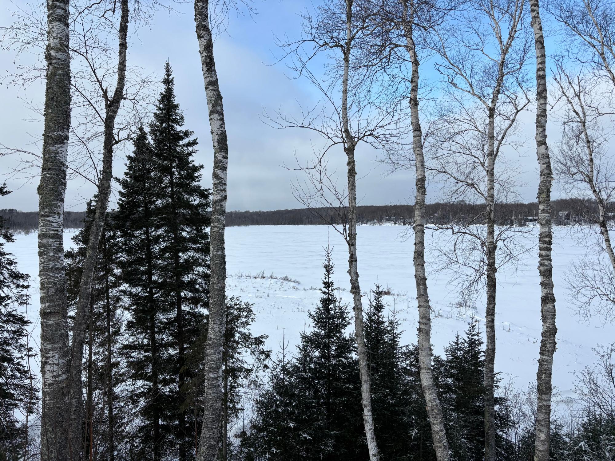 Morton Lake Property 2 acres Bobcat Rd Photo 26