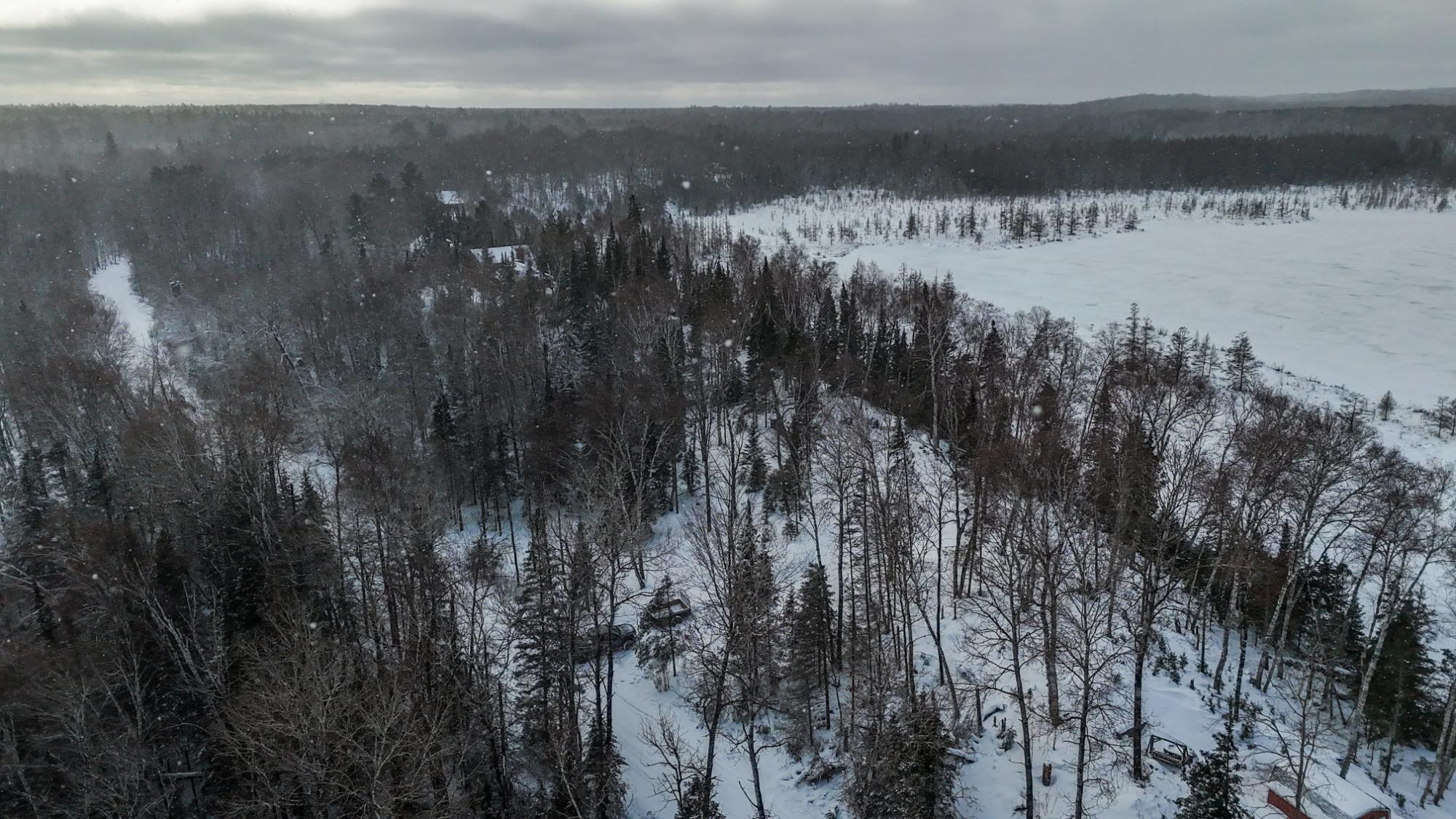 Morton Lake Property 2 acres Bobcat Rd Photo 9