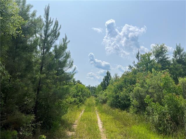 Homes for sale in Independence, LA | 1439 Leonard Chapel Rd, Independence, LA 70443 | MLS# 2535702