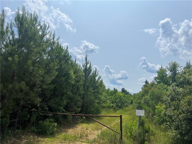 Homes for sale in Independence, LA | 1439 Leonard Chapel Rd, Independence, LA 70443 | MLS# 2535702