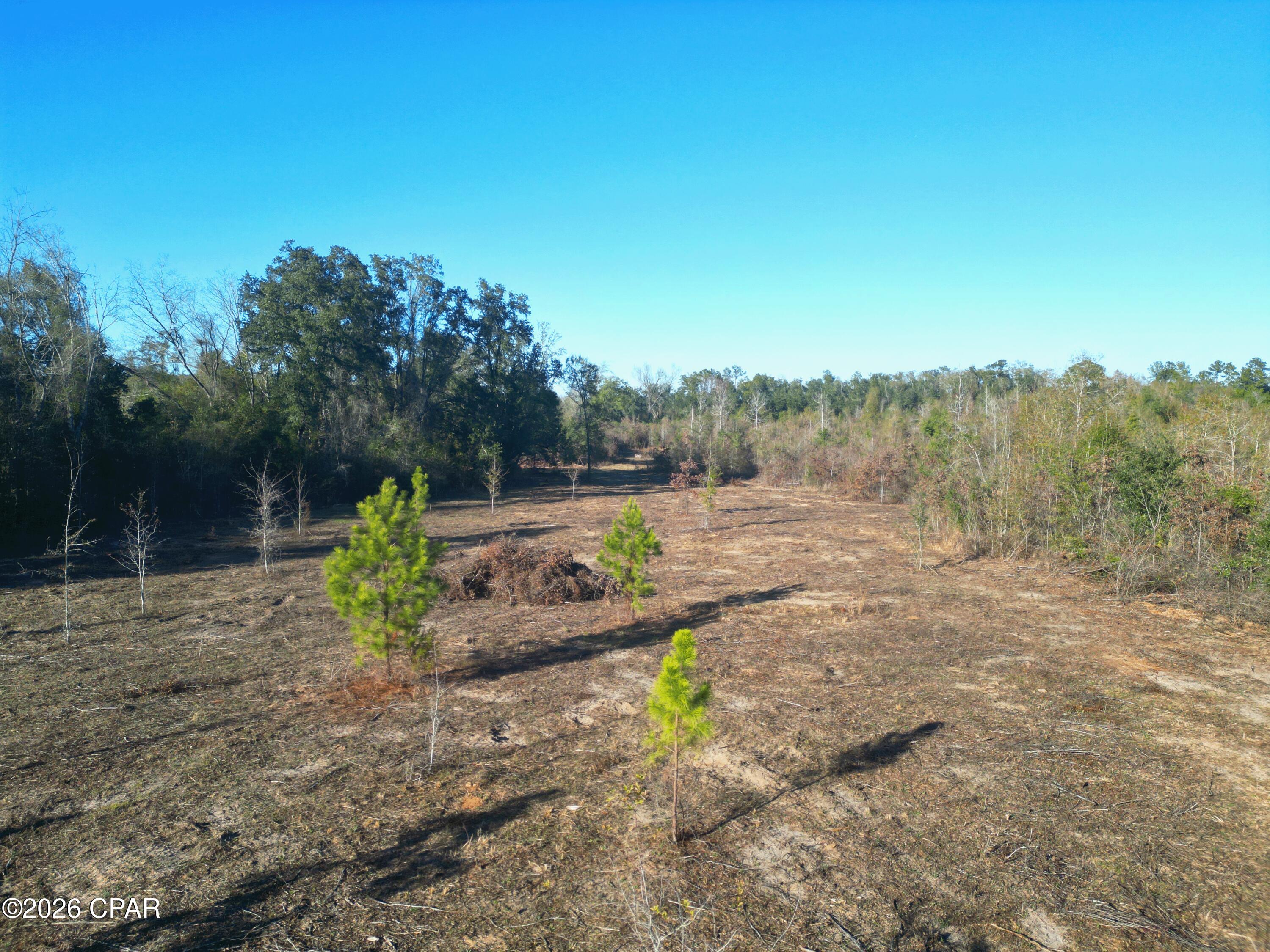 Homes for sale in Sneads, FL | X Weddington Rd, Sneads, FL 32460 | MLS# 783150