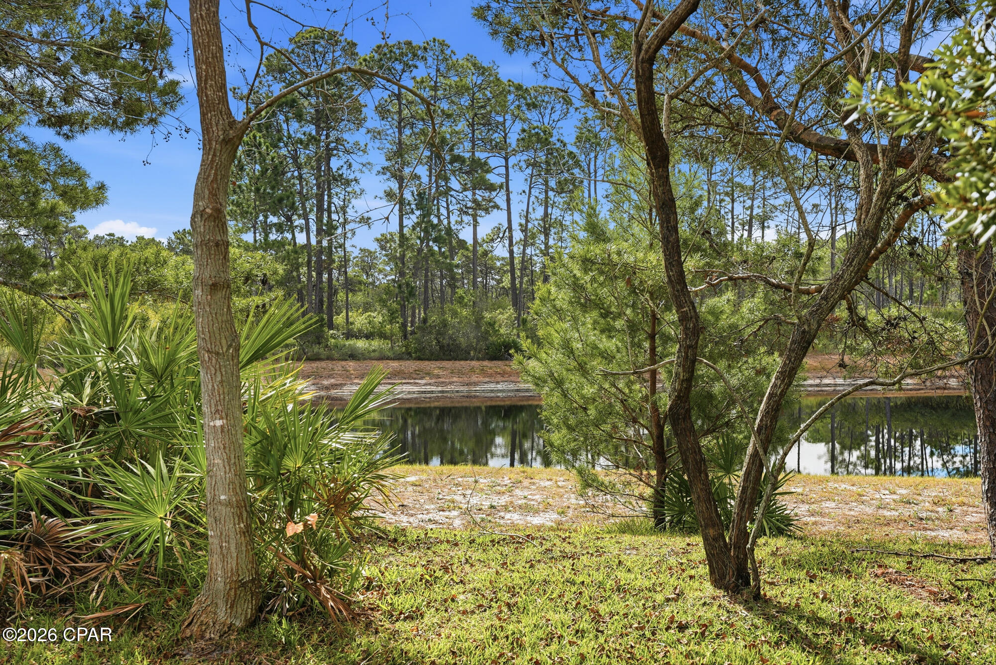 Image 24 For 63 Park Place