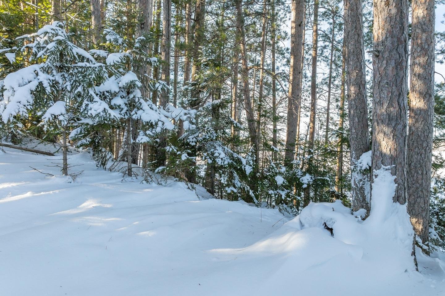 Undocumented Lake Property 5751 Echo Lake Rd E Photo 46