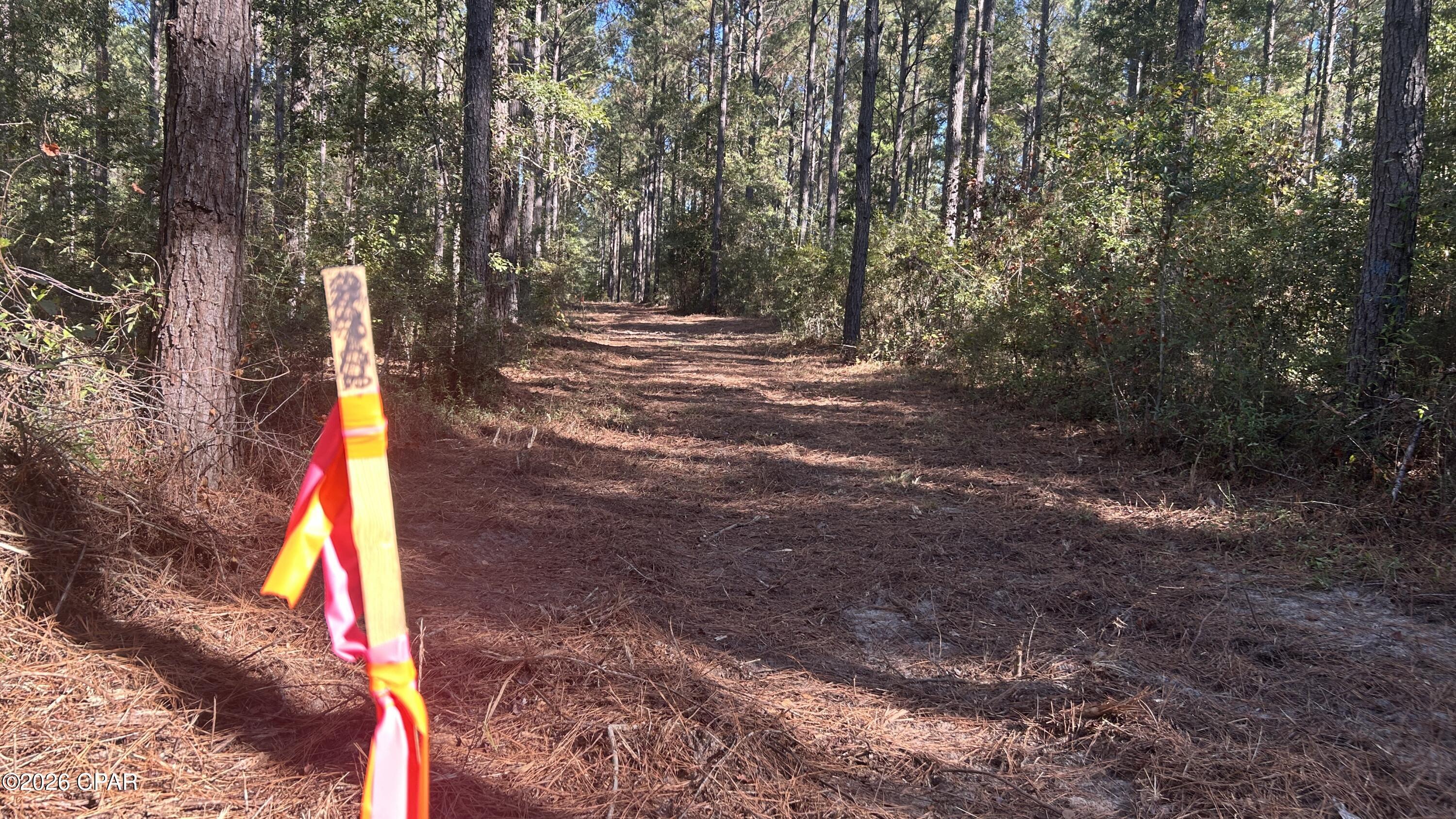 Image 10 For X Flowersview Boulevard 18-19