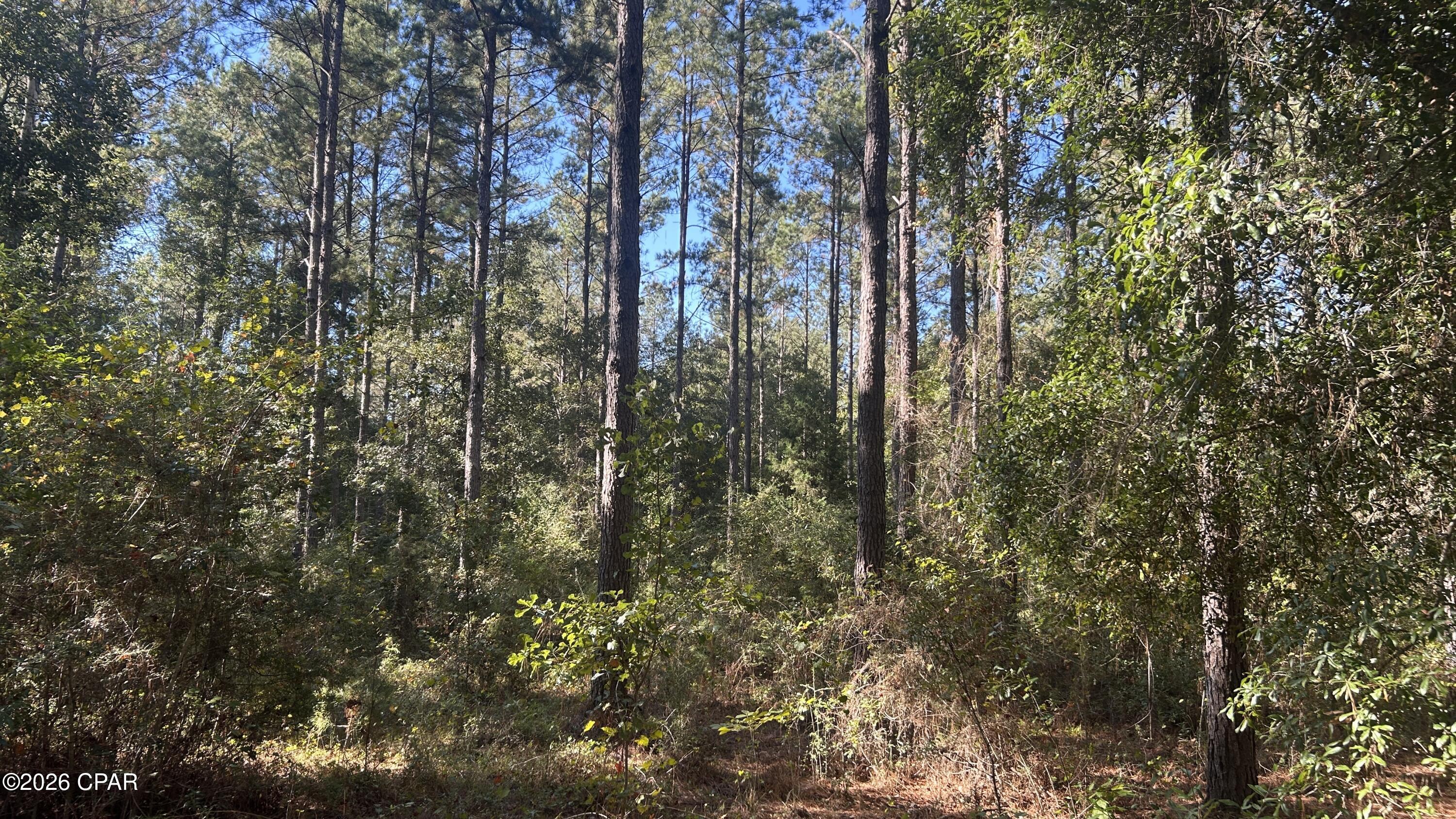 Image 11 For X Flowersview Boulevard 18-19