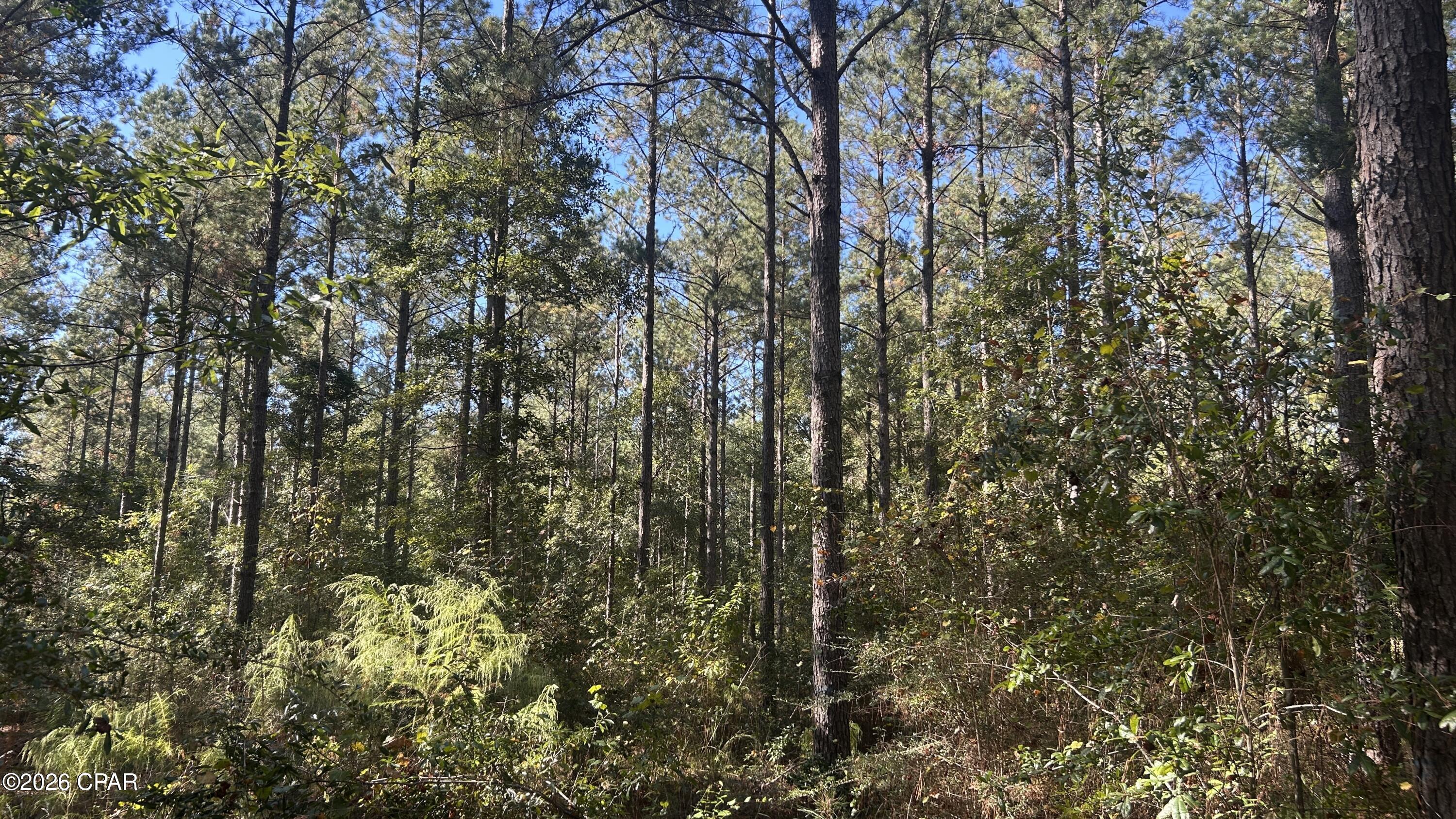 Image 12 For X Flowersview Boulevard 18-19