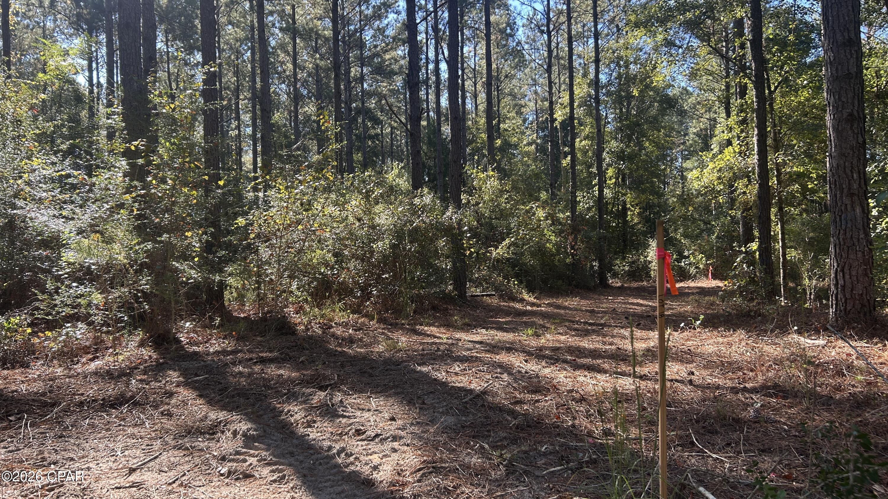 Image 14 For X Flowersview Boulevard 18-19