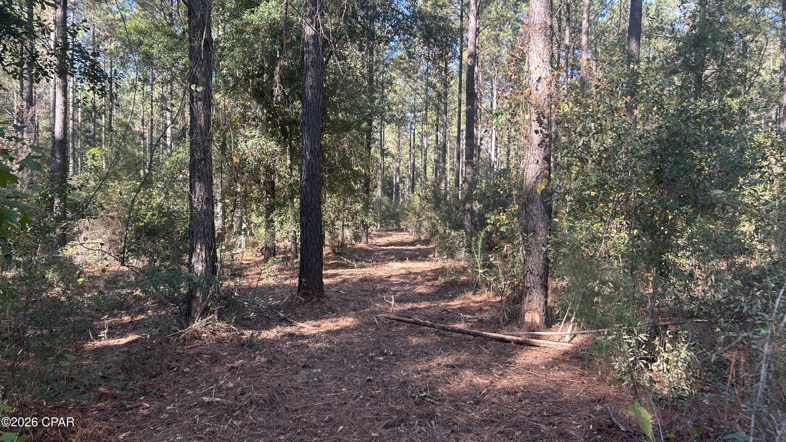 Image 15 For X Flowersview Boulevard 18-19