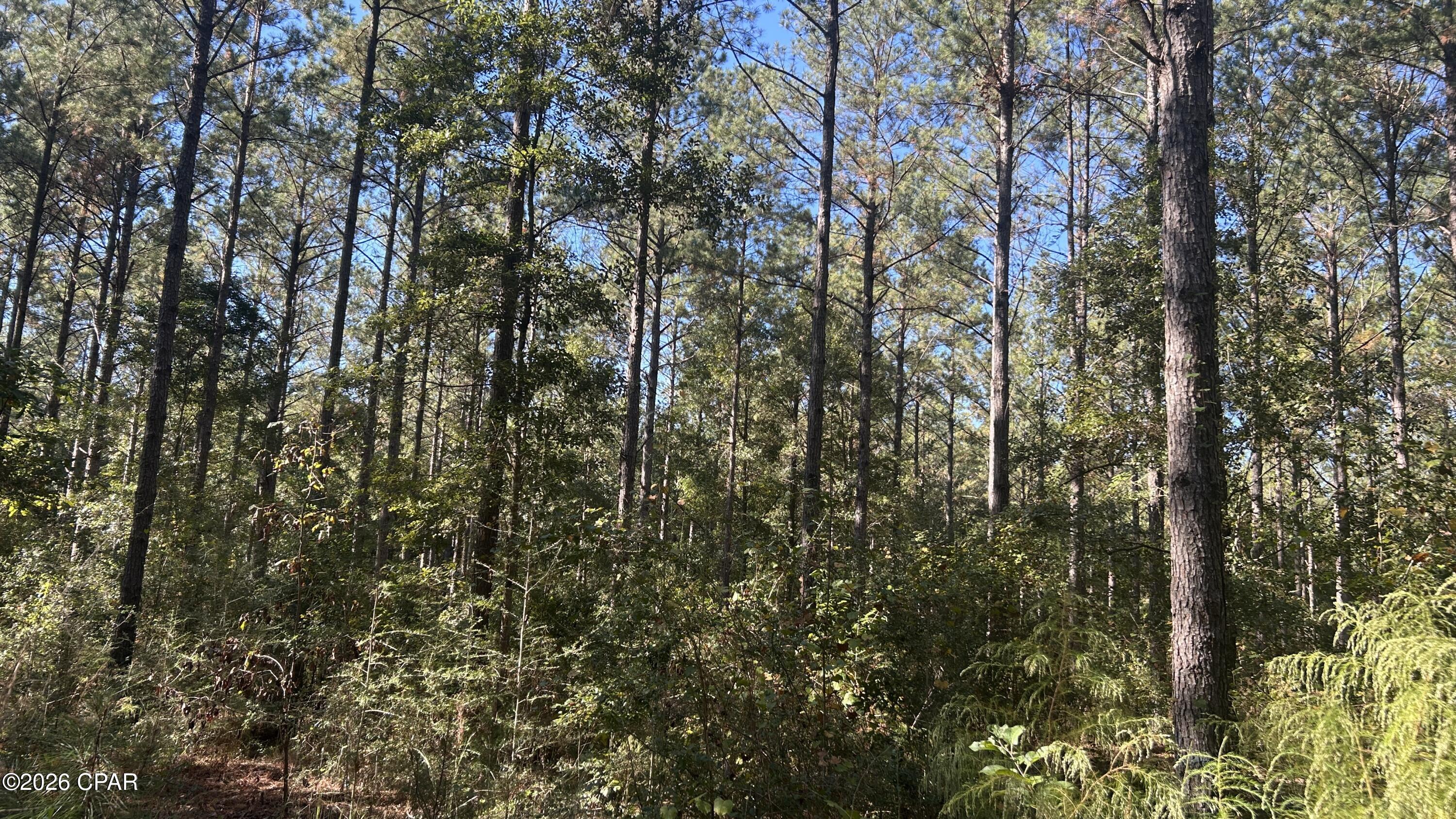 Image 16 For X Flowersview Boulevard 18-19