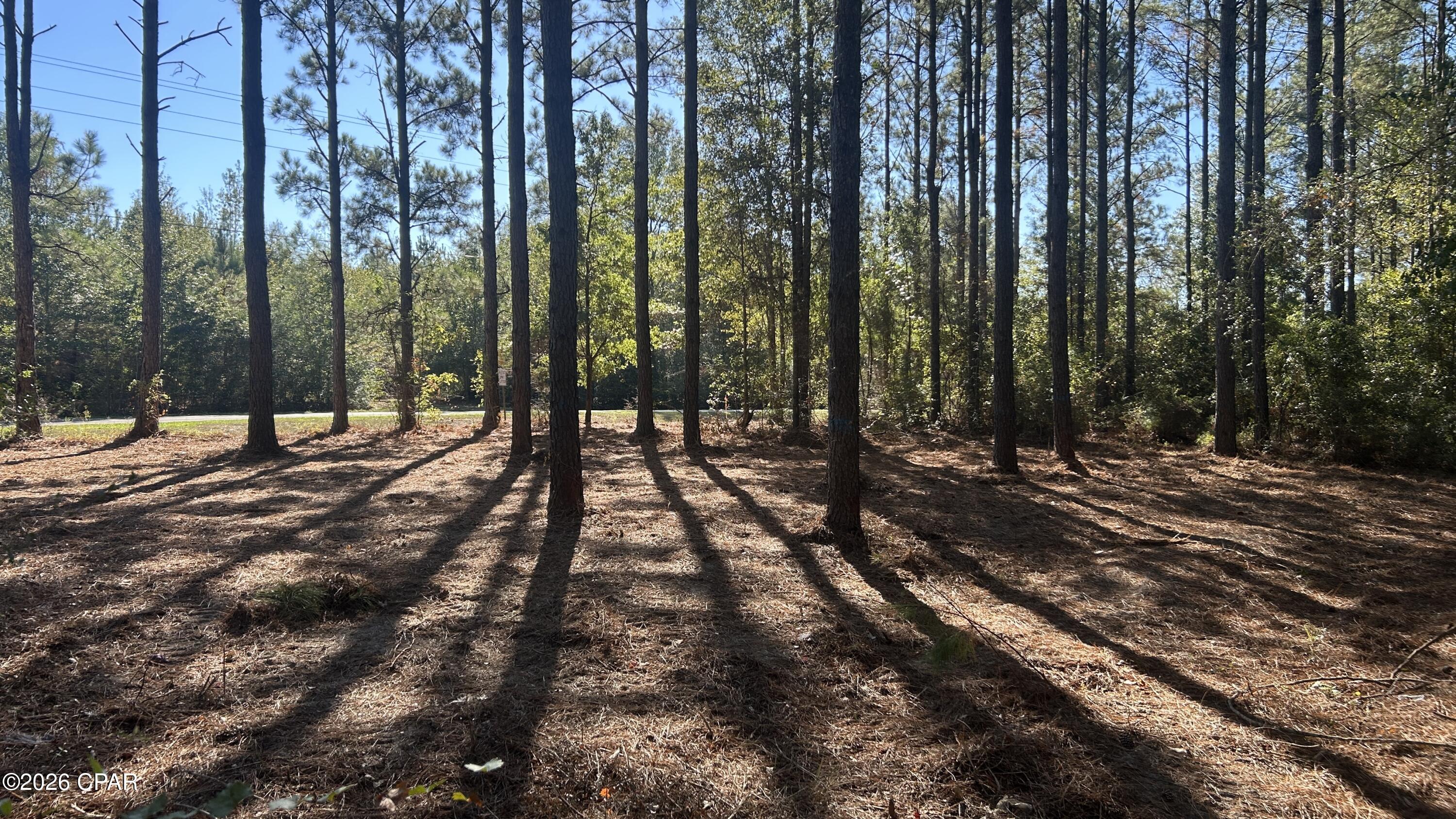 Image 7 For X Flowersview Boulevard 18-19