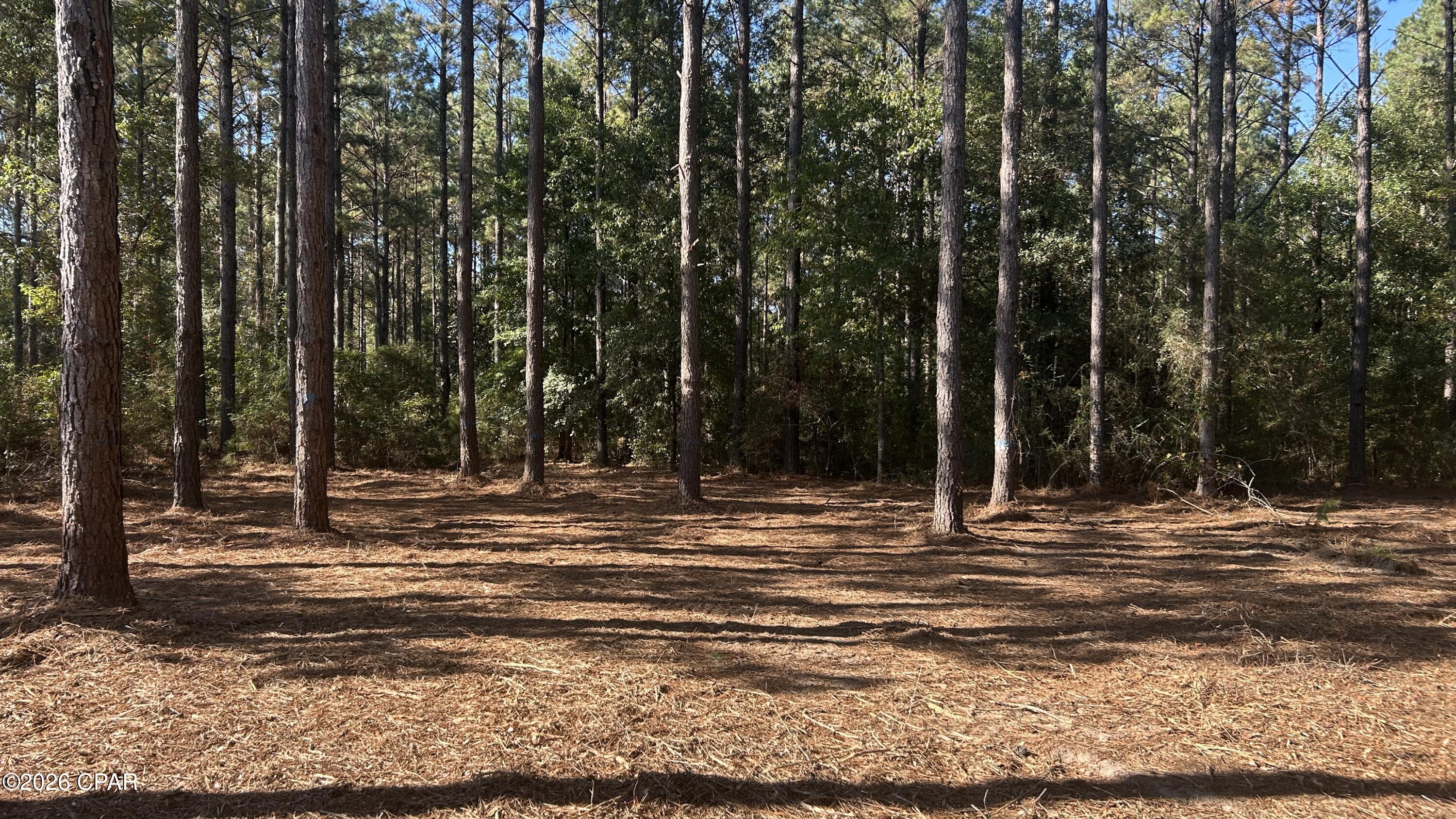 Image 8 For X Flowersview Boulevard 18-19