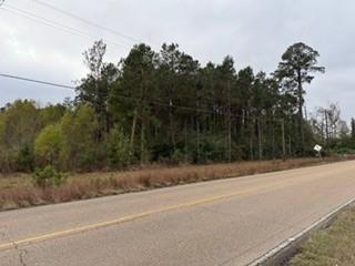 Homes for sale in Holden, LA | 6203 Tbd 441 Hwy, Holden, LA 70744 | MLS# 2536128