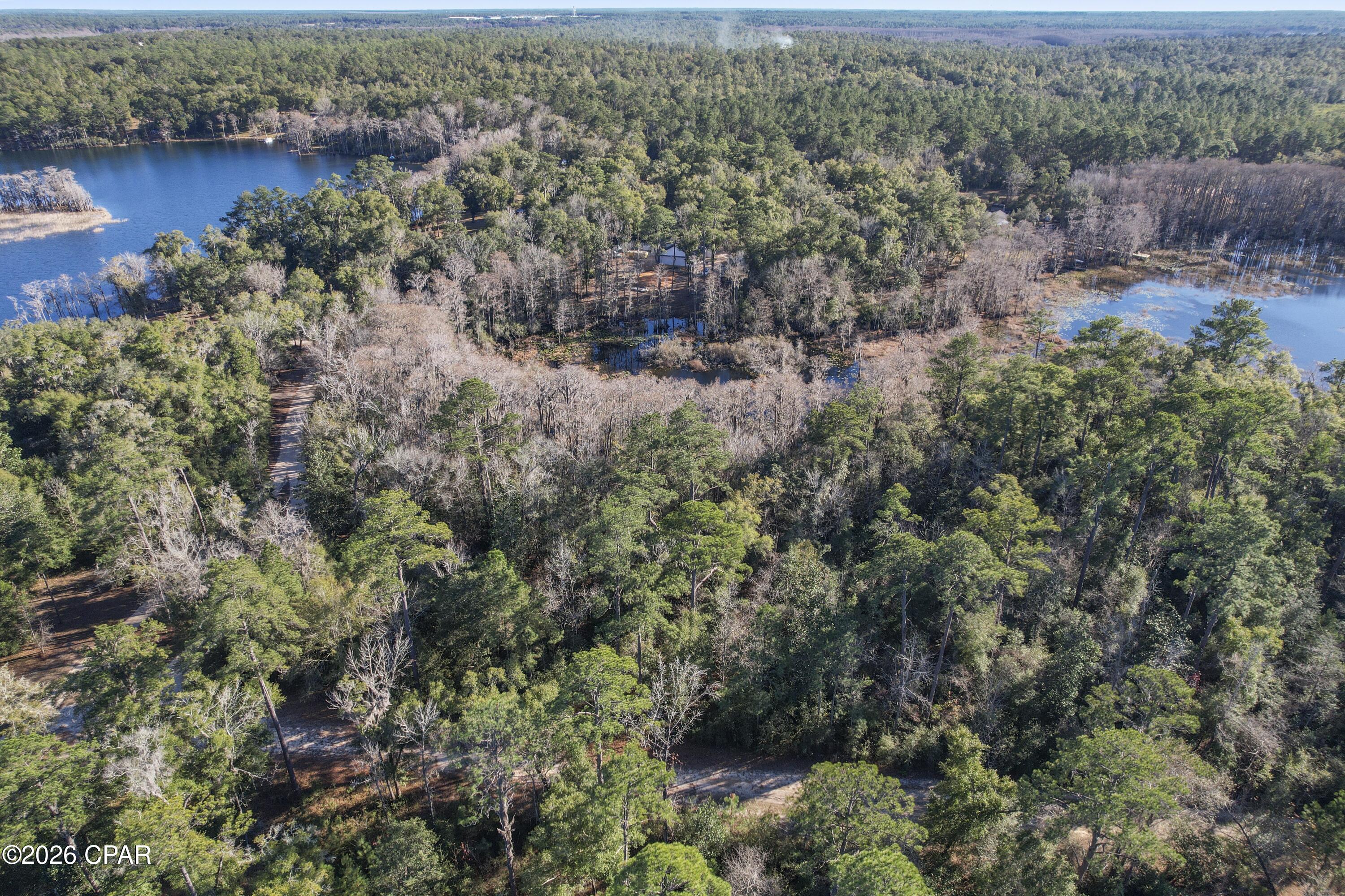 Image 10 For 000 Lot 1 Cypress