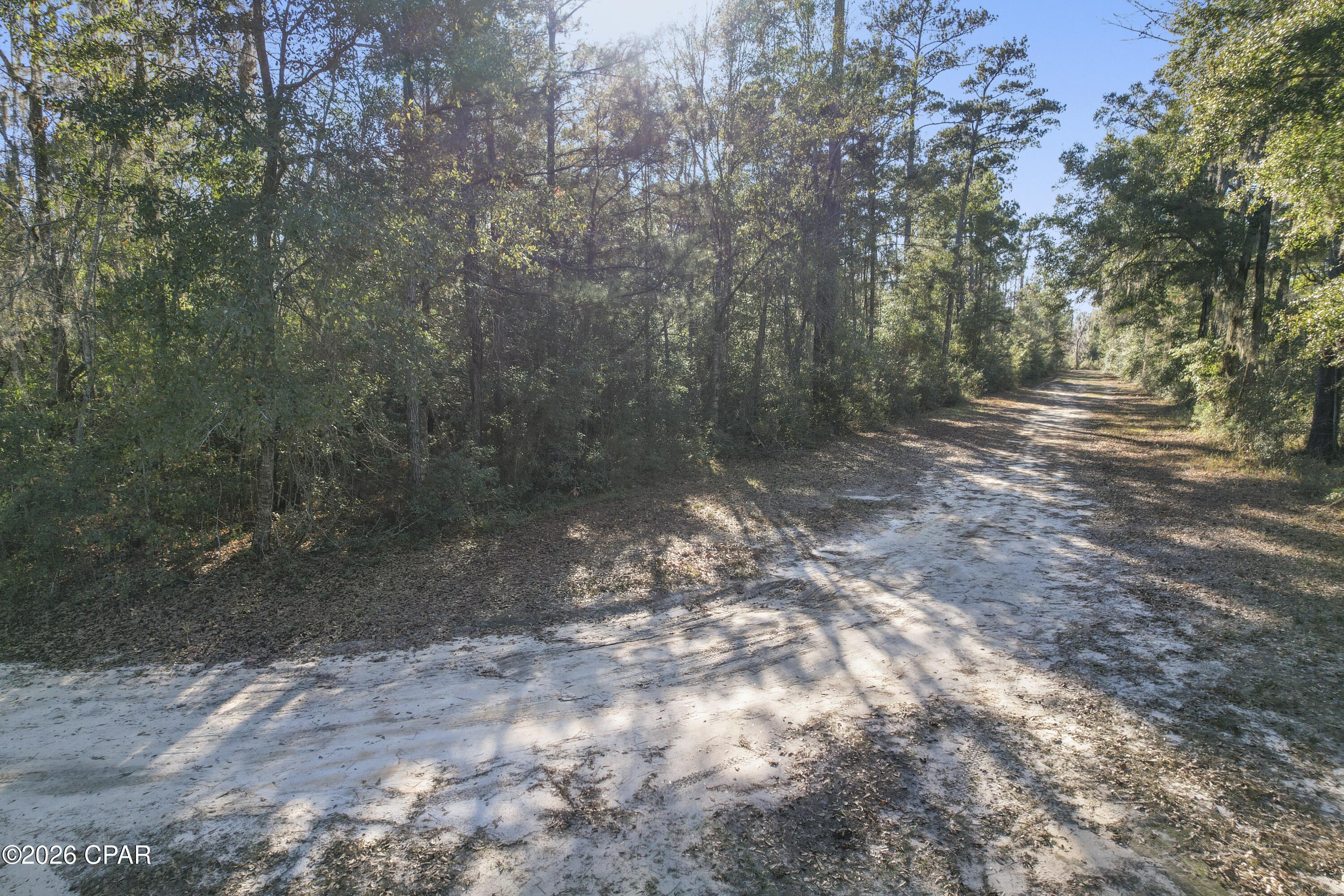 Image 13 For 000 Lot 1 Cypress