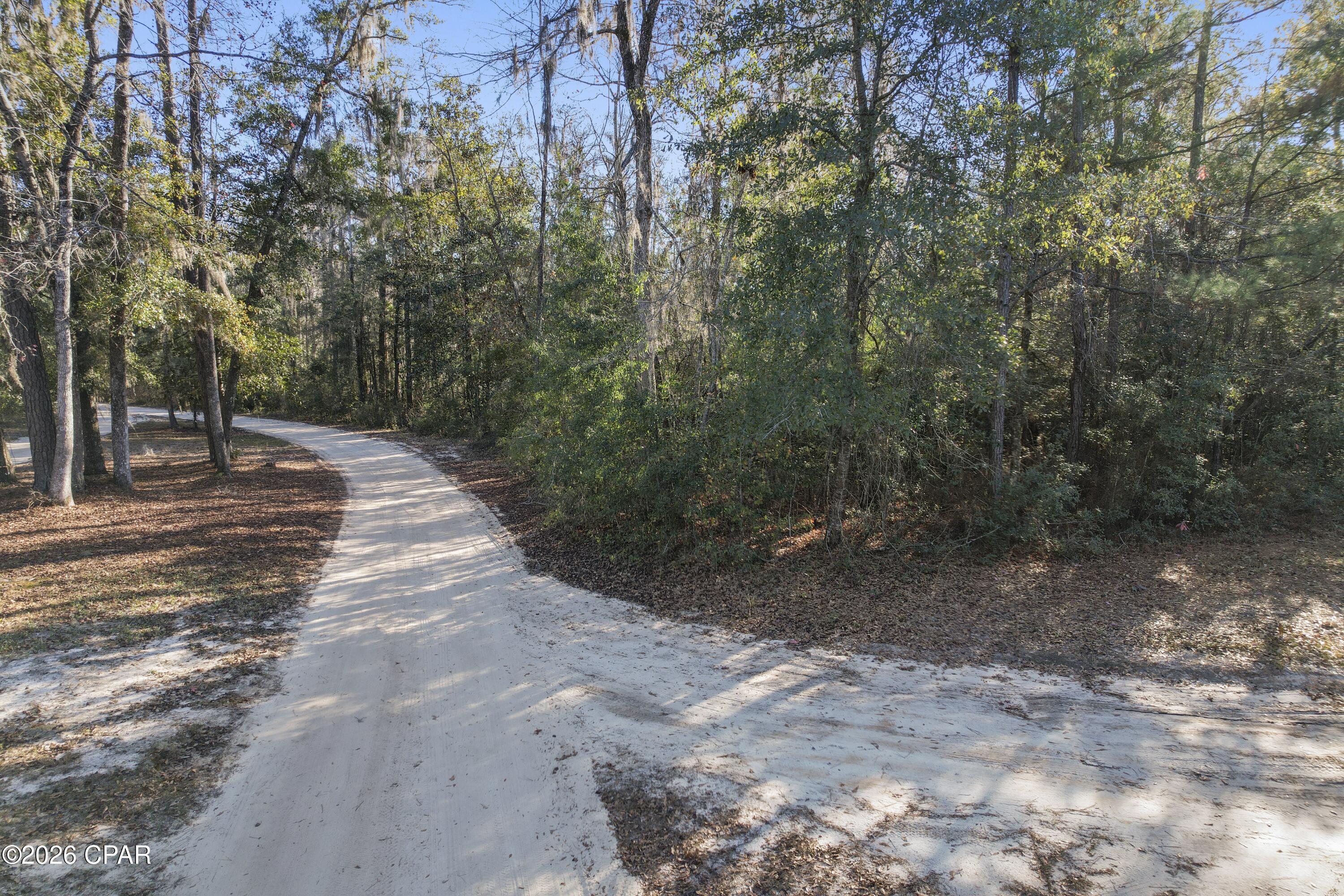 Image 14 For 000 Lot 1 Cypress