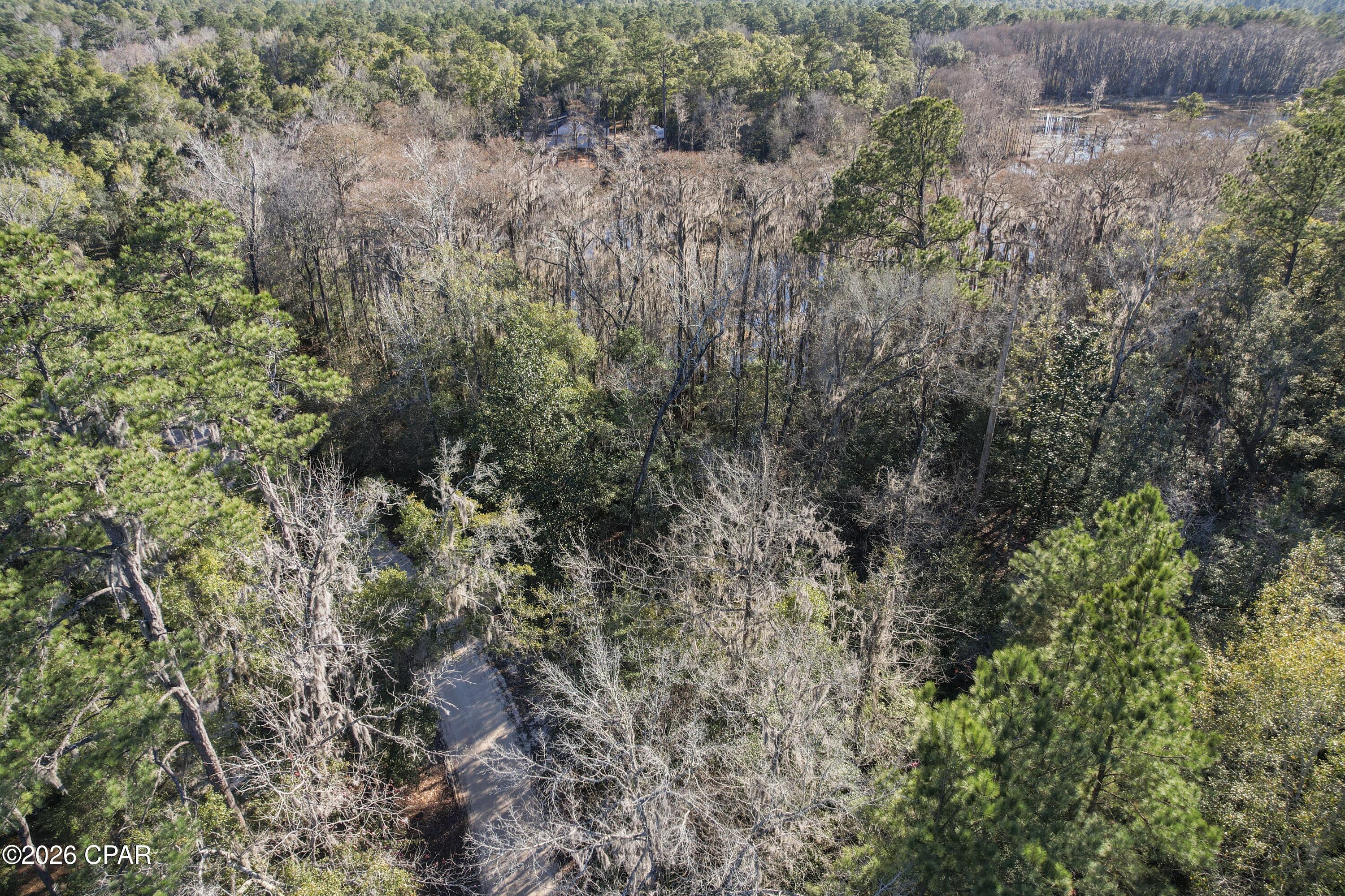 Image 15 For 000 Lot 1 Cypress