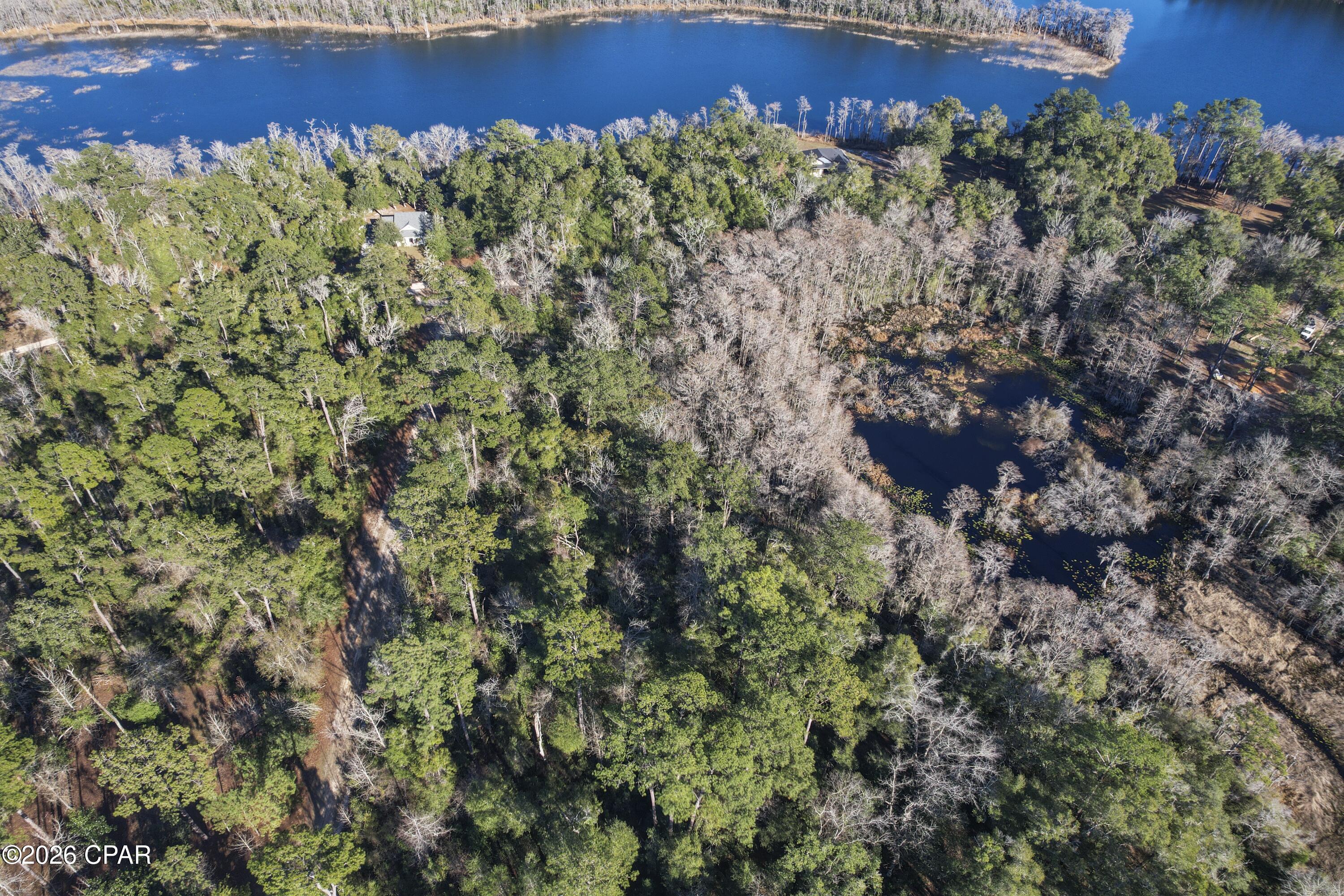 Image 6 For 000 Lot 1 Cypress