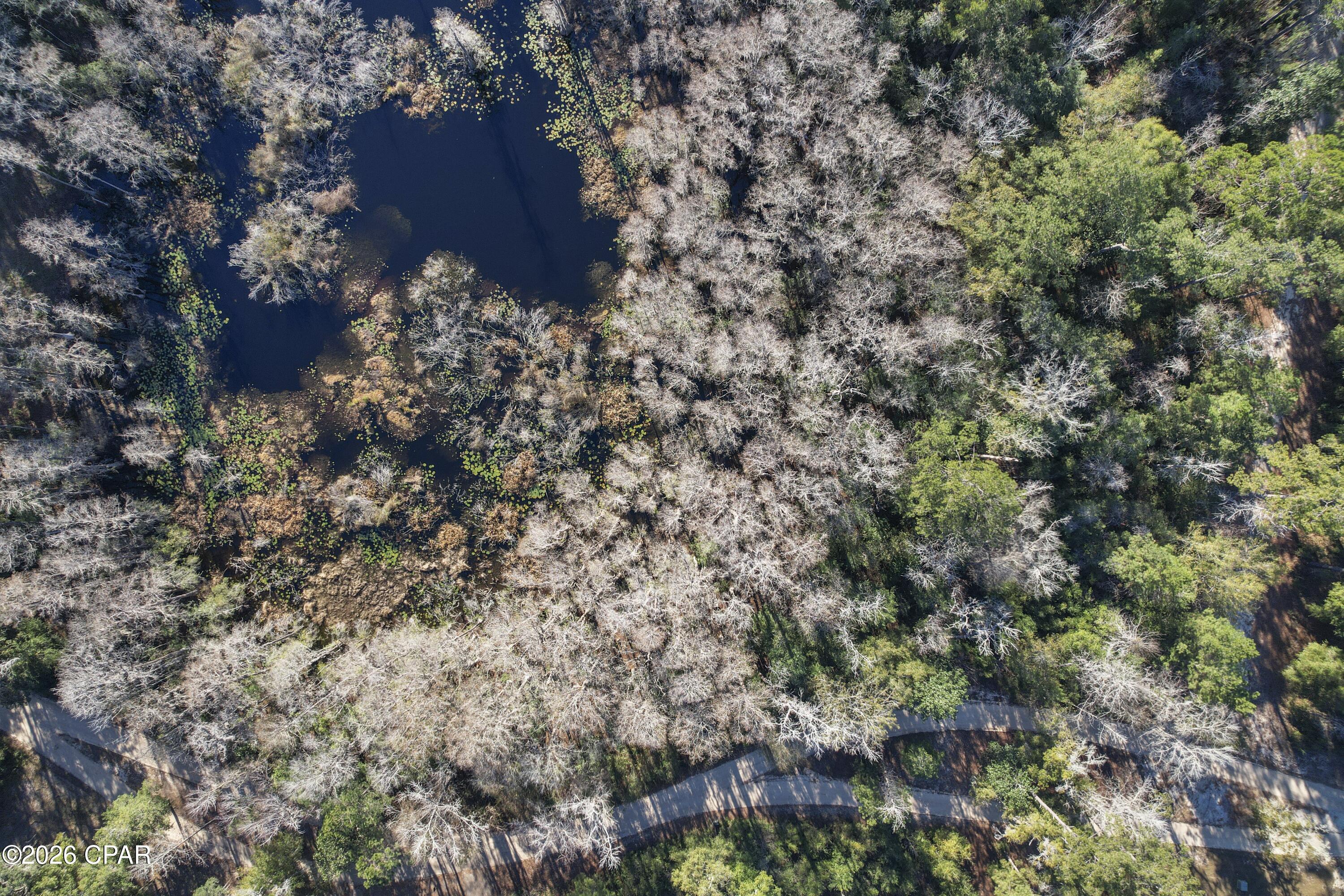 Image 8 For 000 Lot 1 Cypress