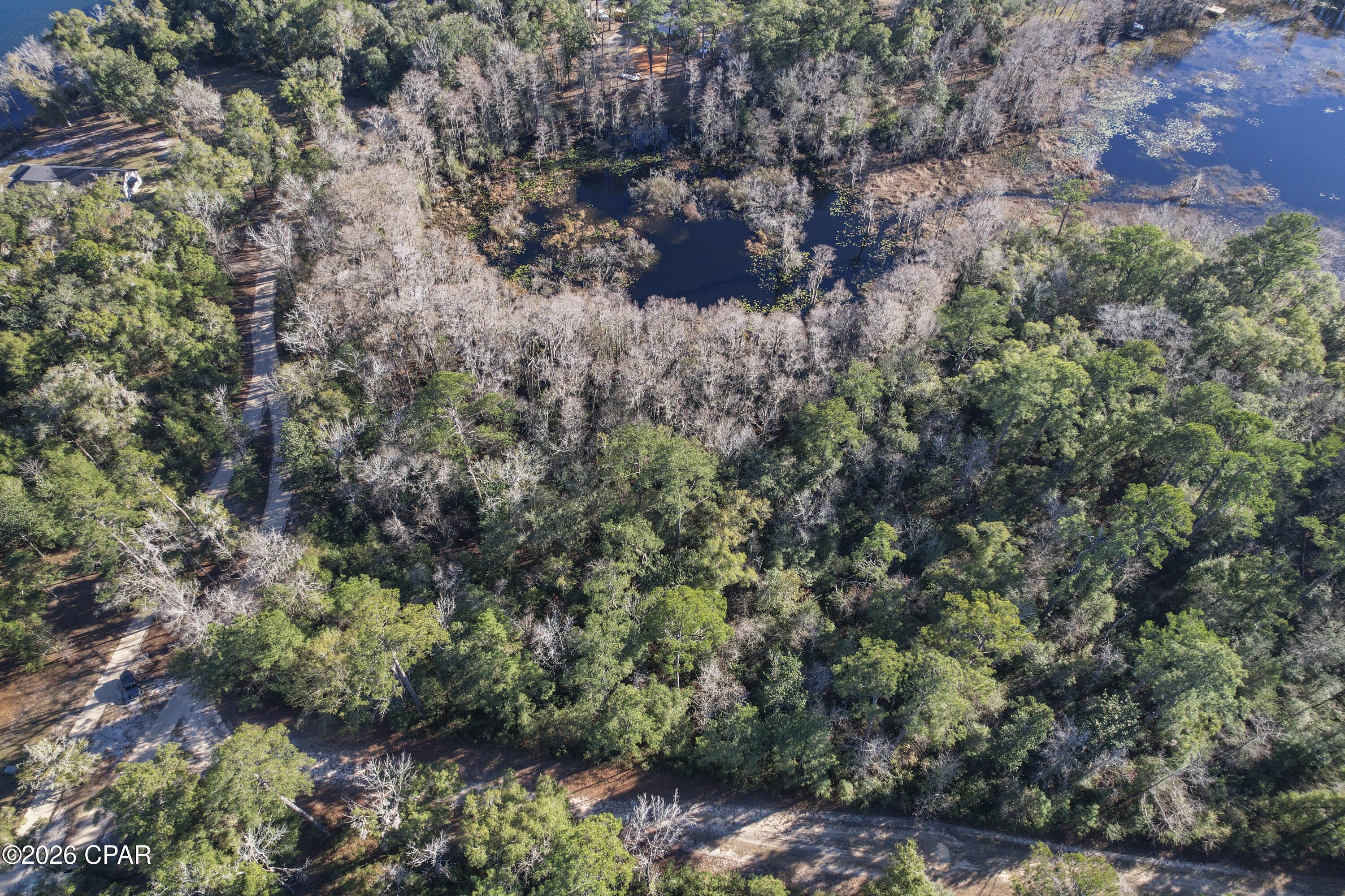 Image 9 For 000 Lot 1 Cypress