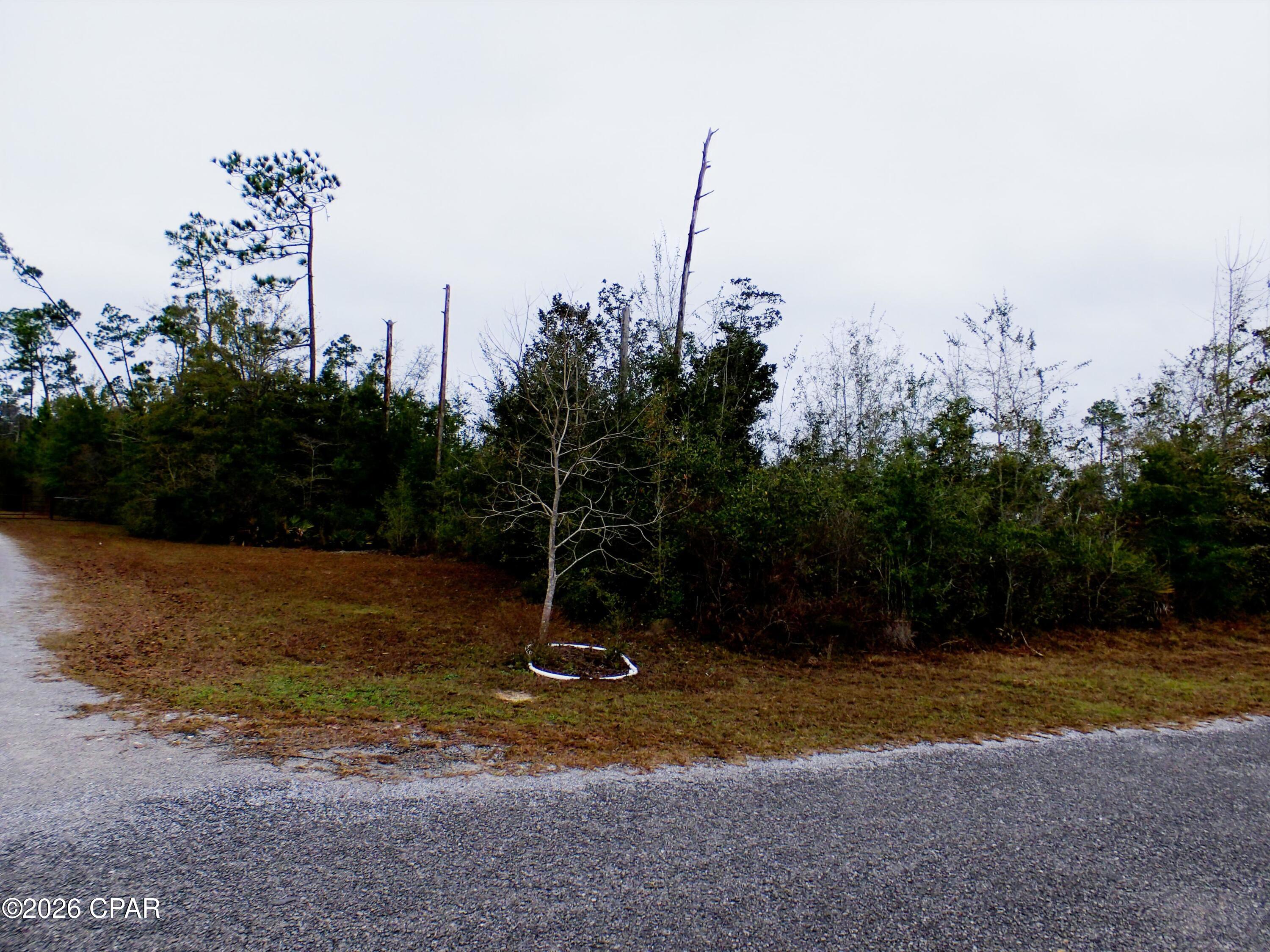 1st image of 0 Klondyke Rd, Youngstown, FL 32466 | MLS# 783337
