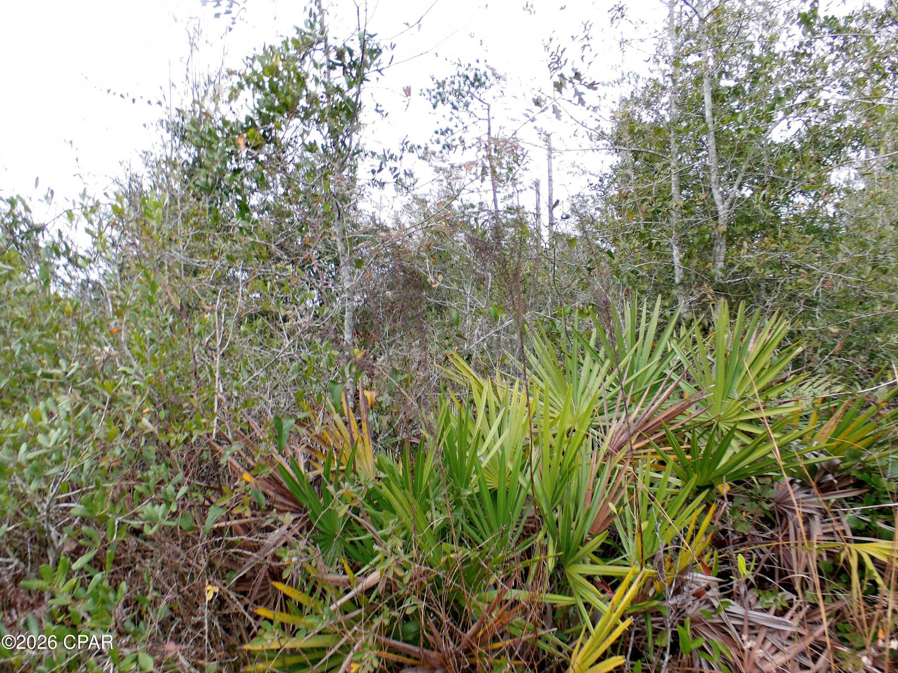 Image 4 For 0 Klondyke Road