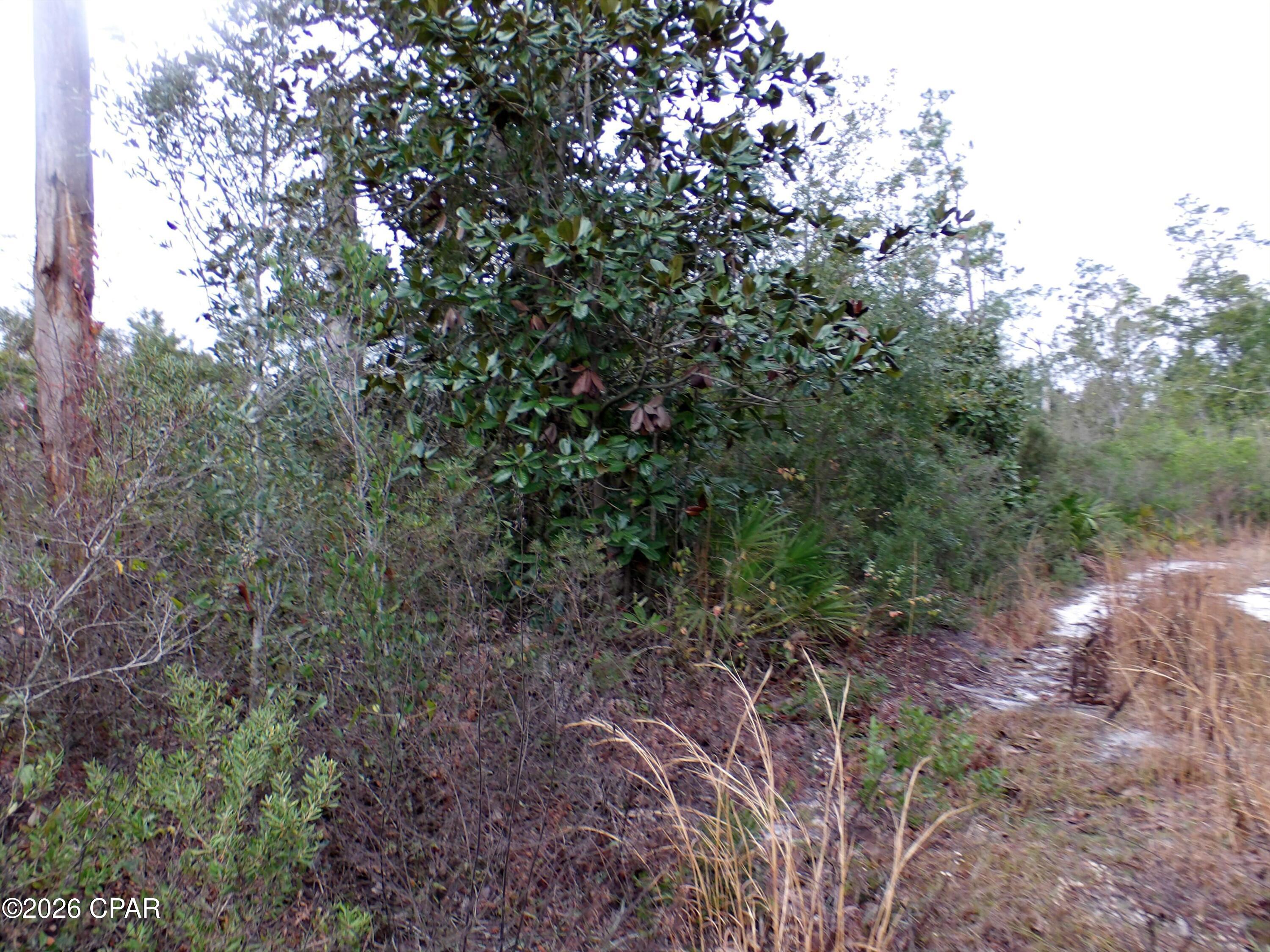 Image 6 For 0 Klondyke Road