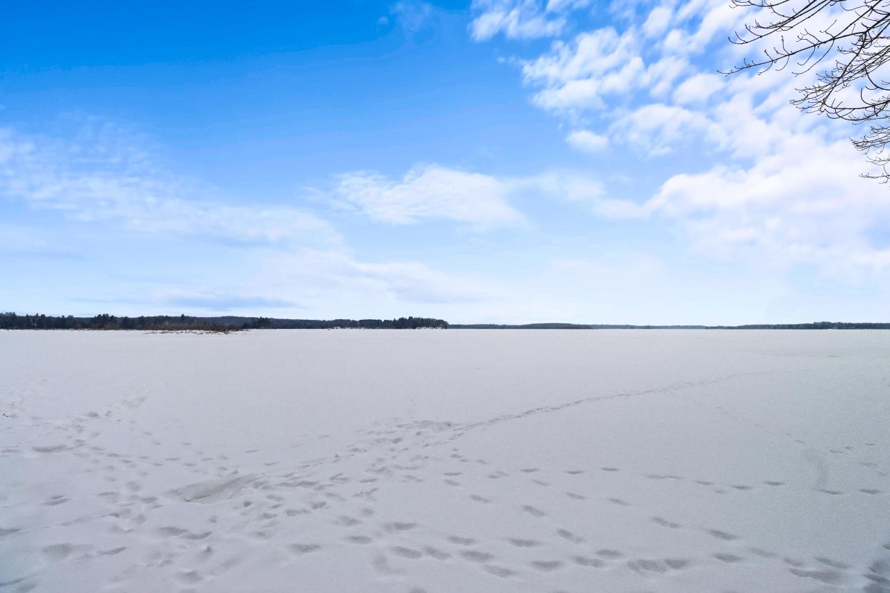 Little Rice Lake Property 11566 Waite Ln Photo 6