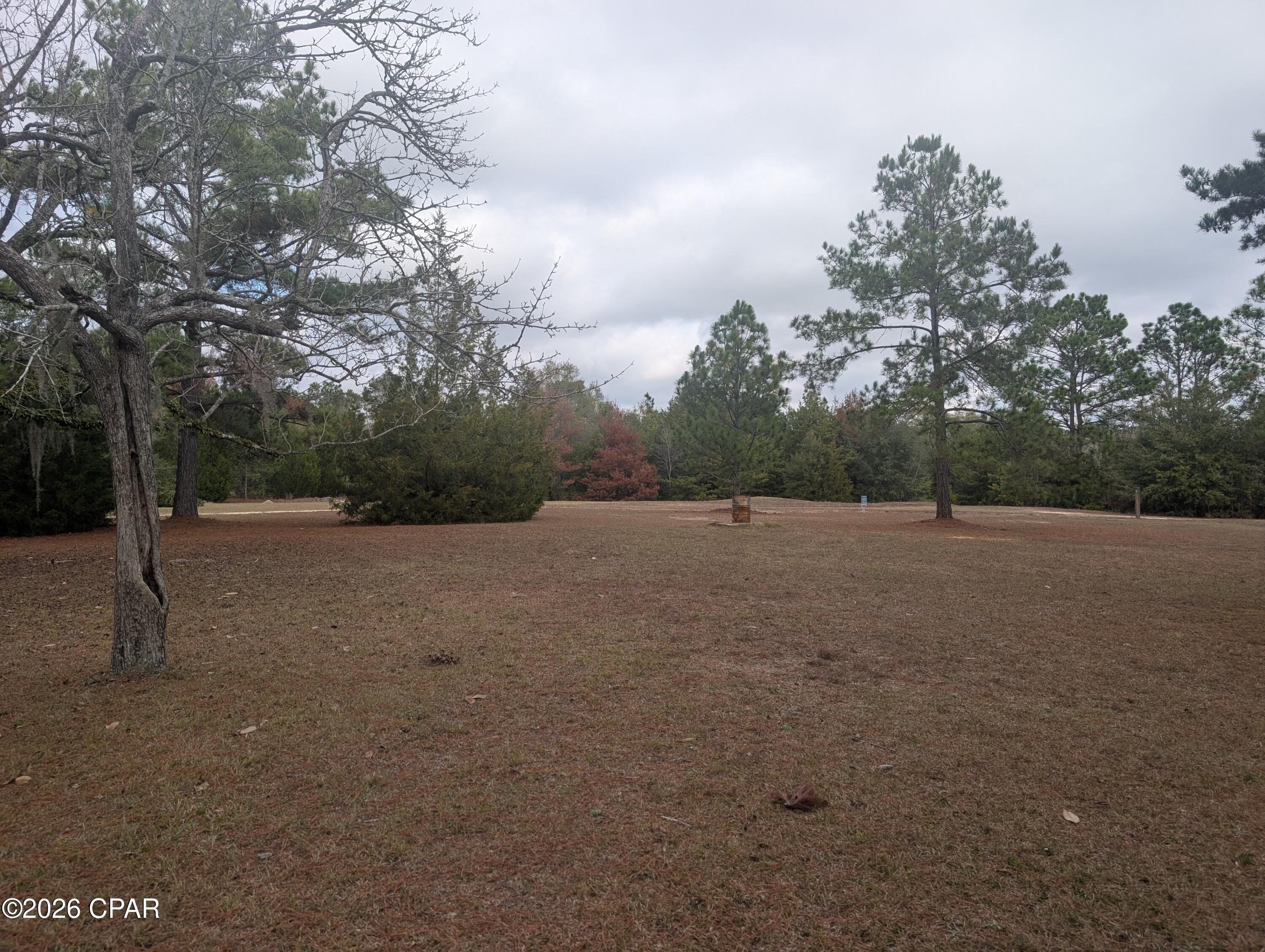 Image 31 For 1900 Olive Lane