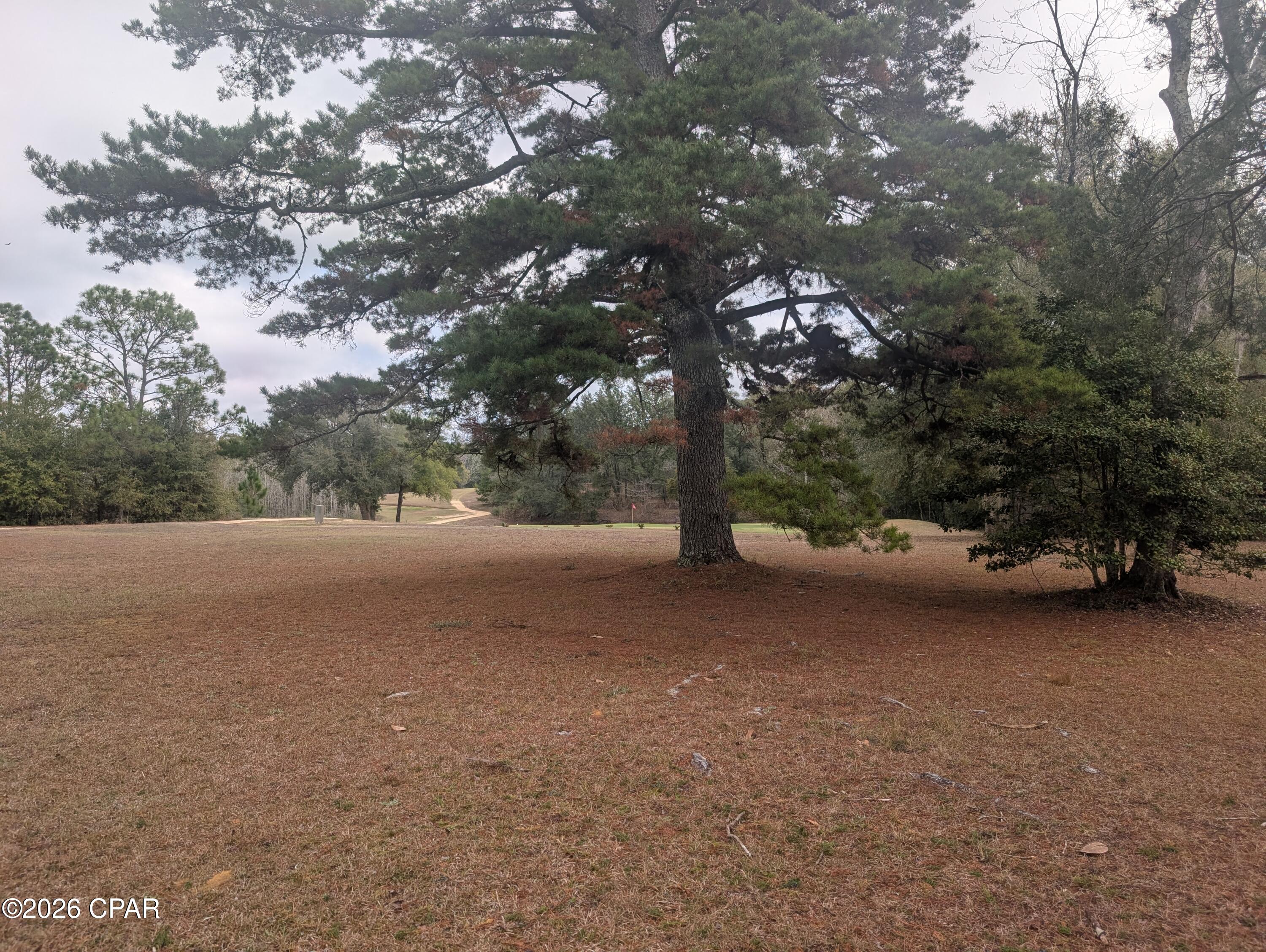 Image 32 For 1900 Olive Lane