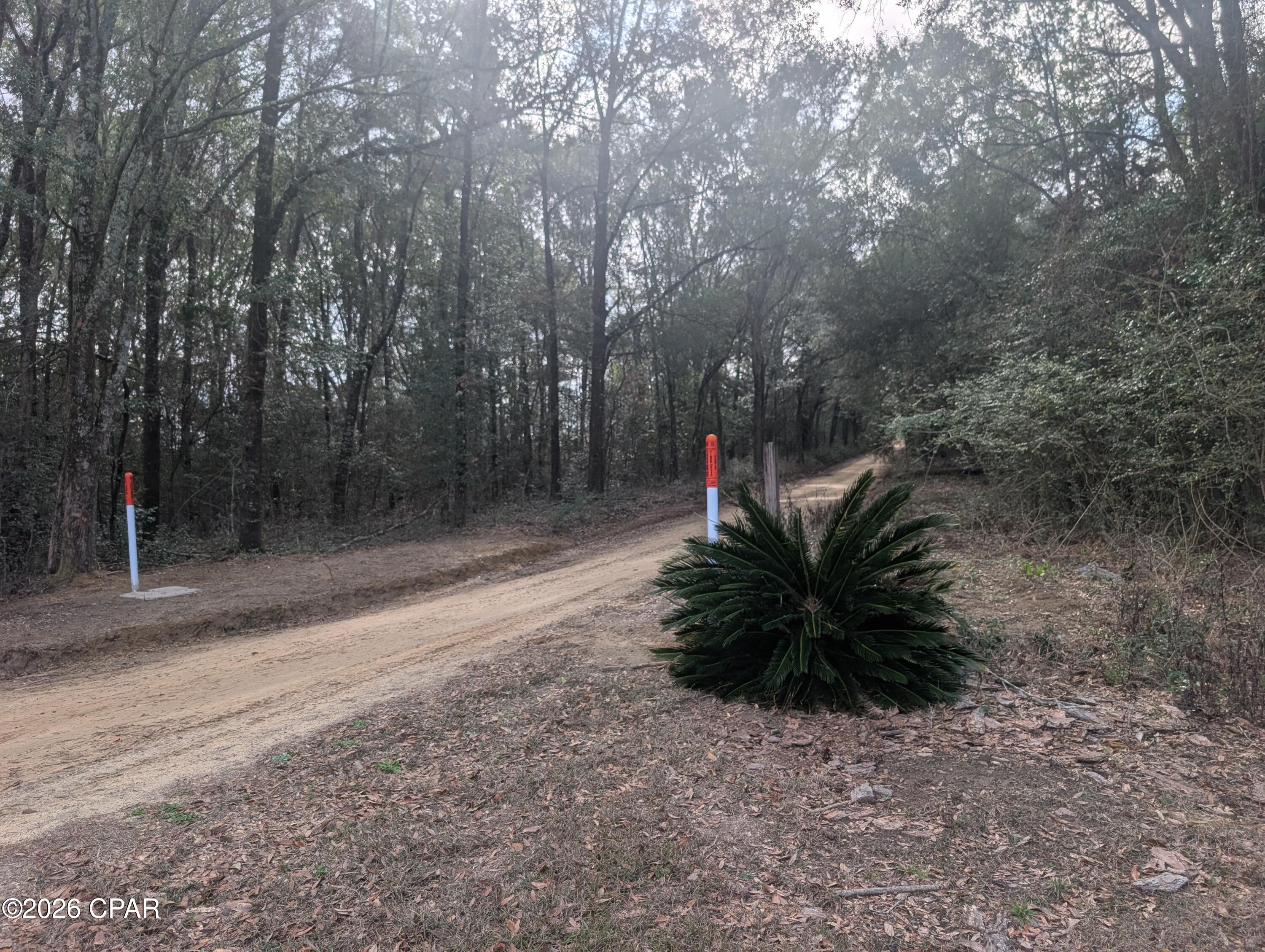 Image 41 For 1900 Olive Lane